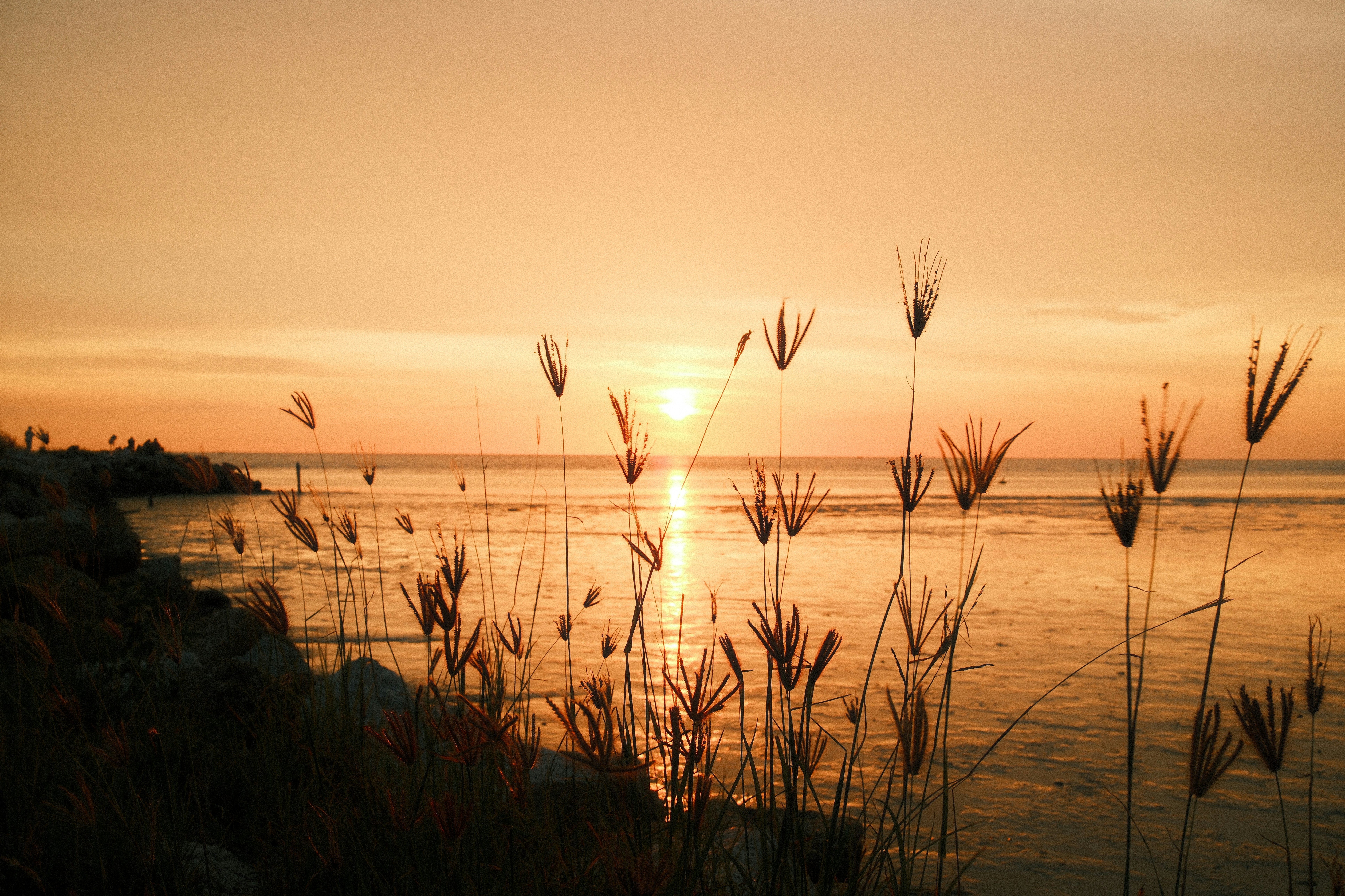 The Function Of Therapy In Drug Recovery: Nurturing Both Body And Mind