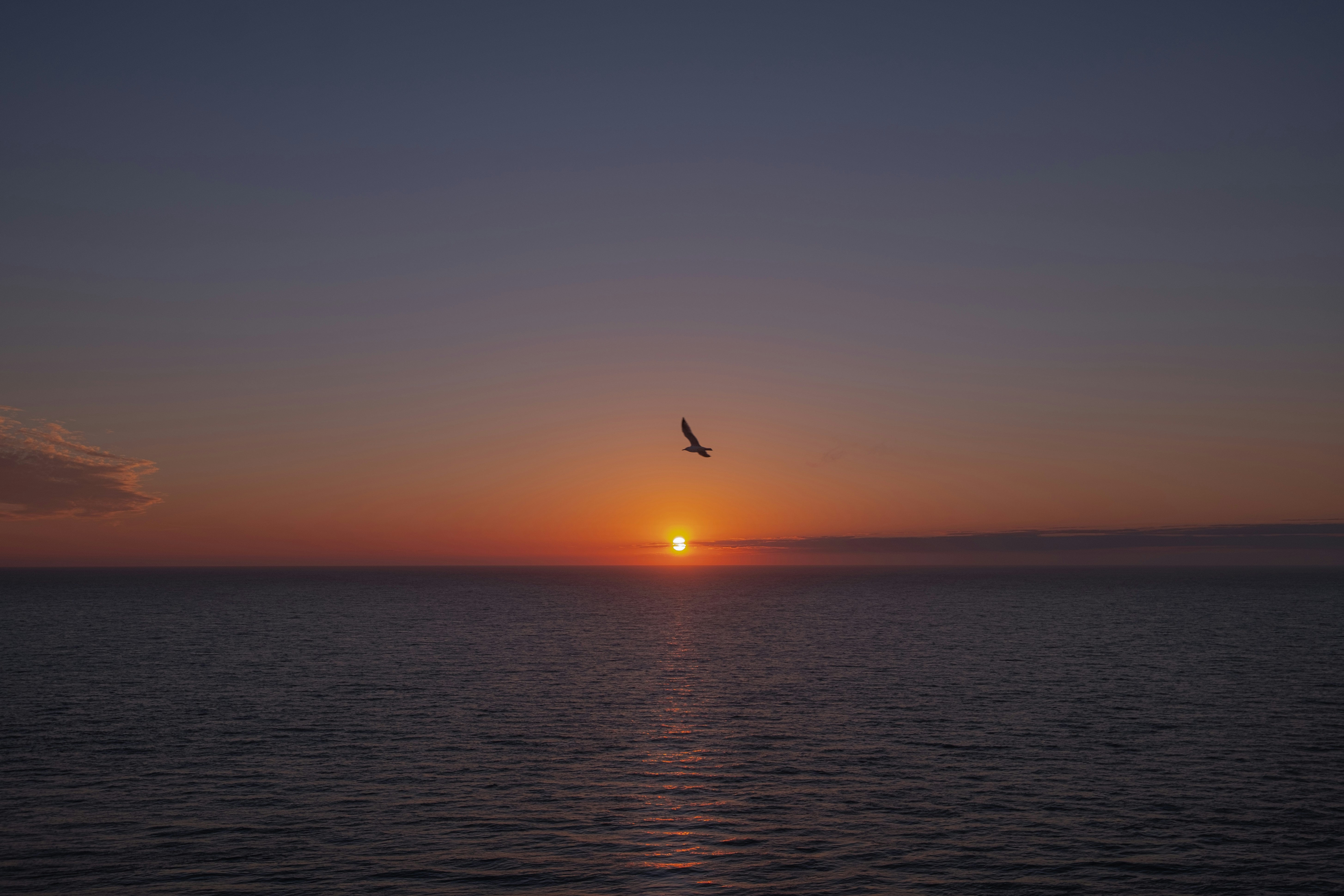 Photo by flousentimental