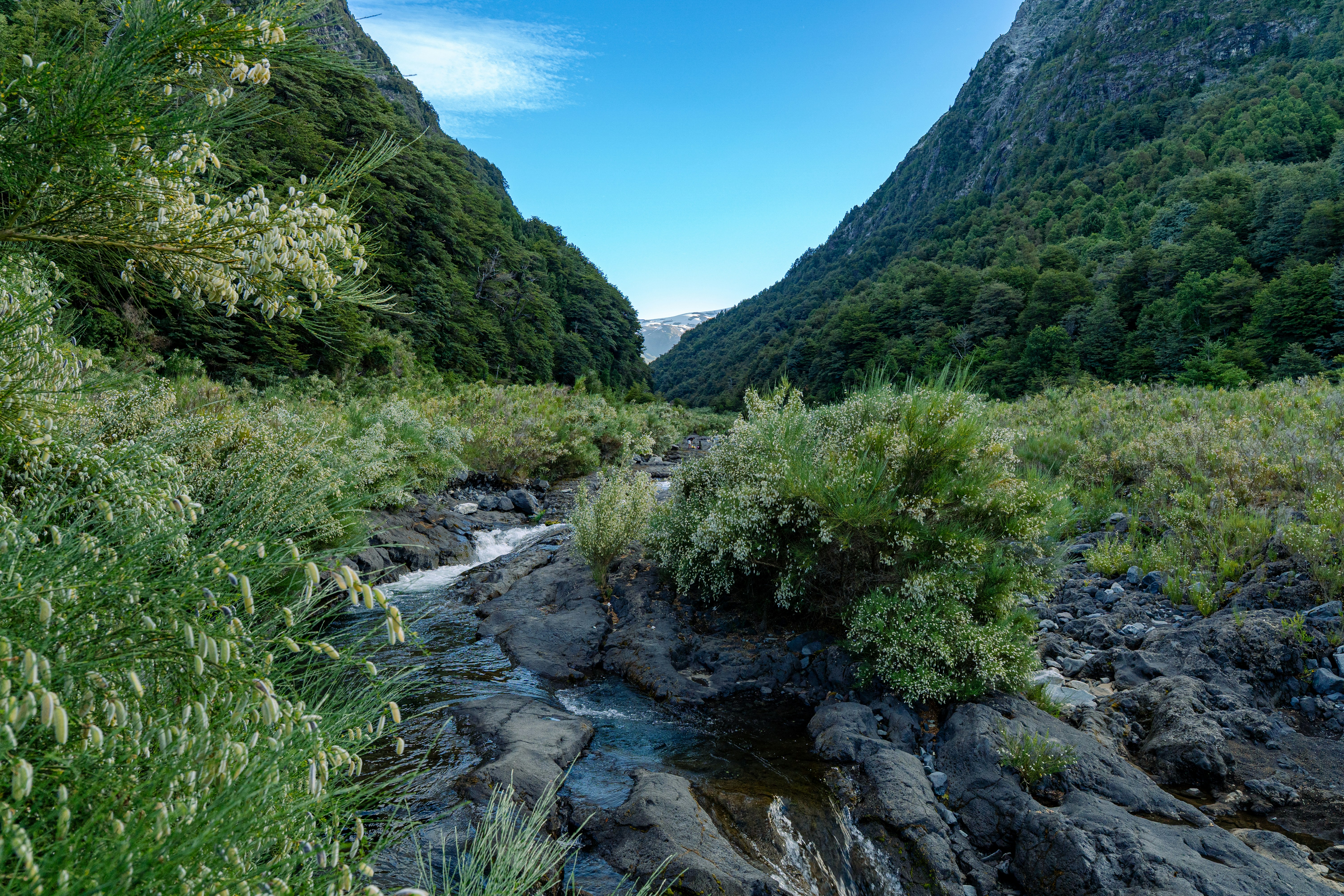 mountain river landscape, wallpaper, Crossing Swift Wilderness Rivers Safely 3