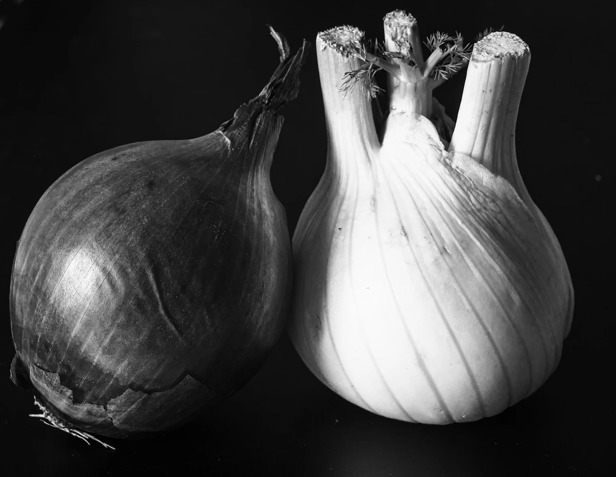 Bulbe de fenouil bio