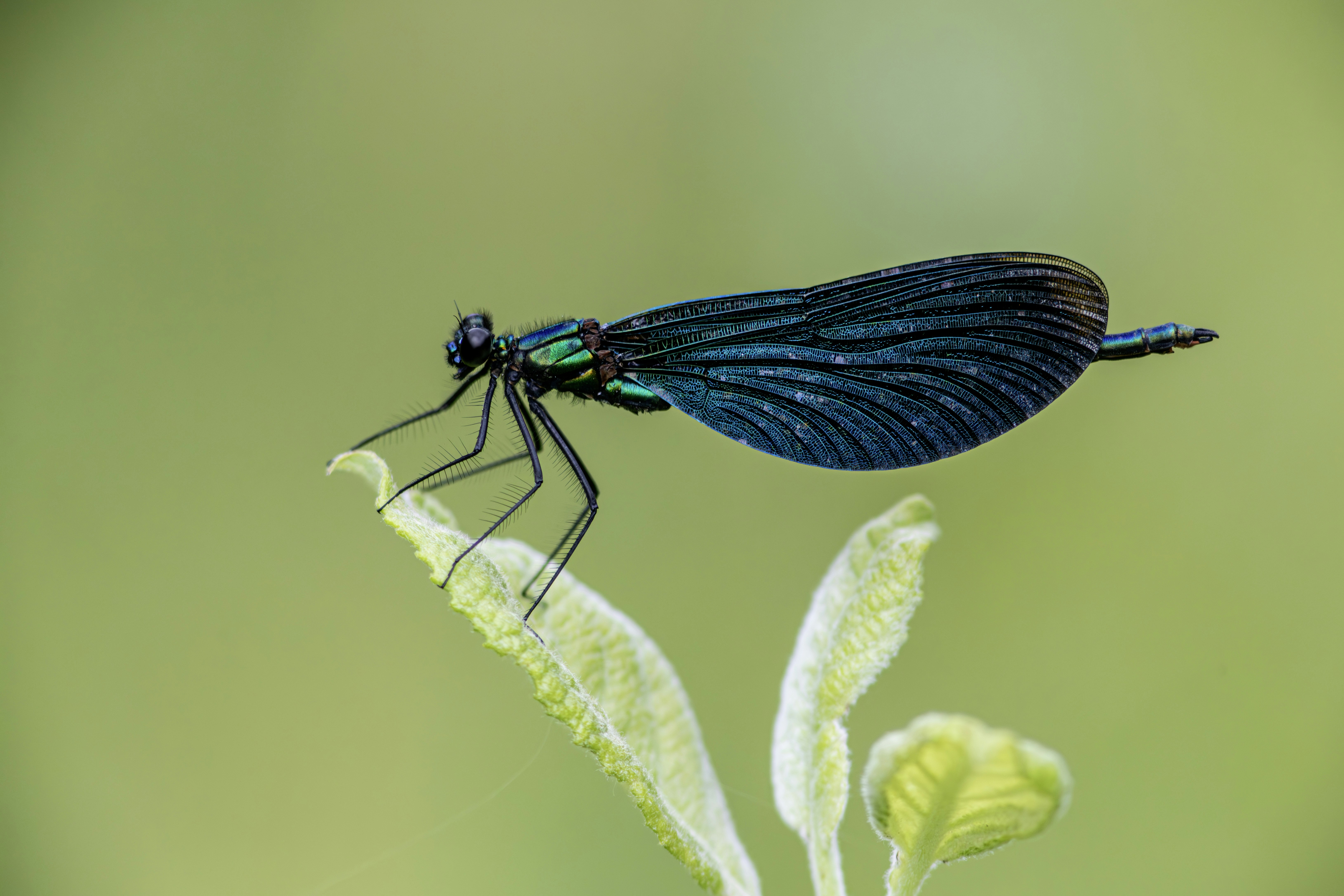 Photo by erik_karits