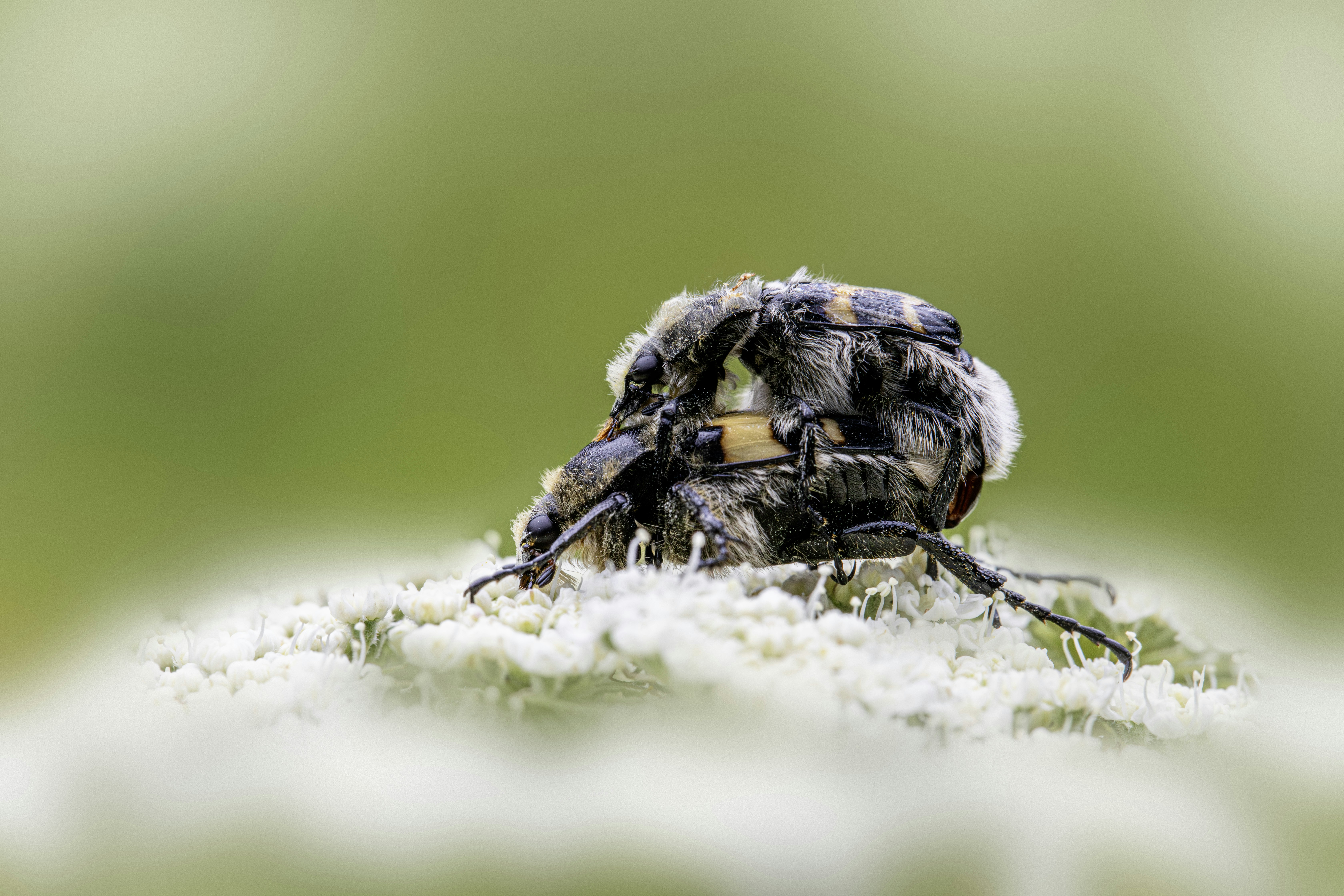 Photo by erik_karits