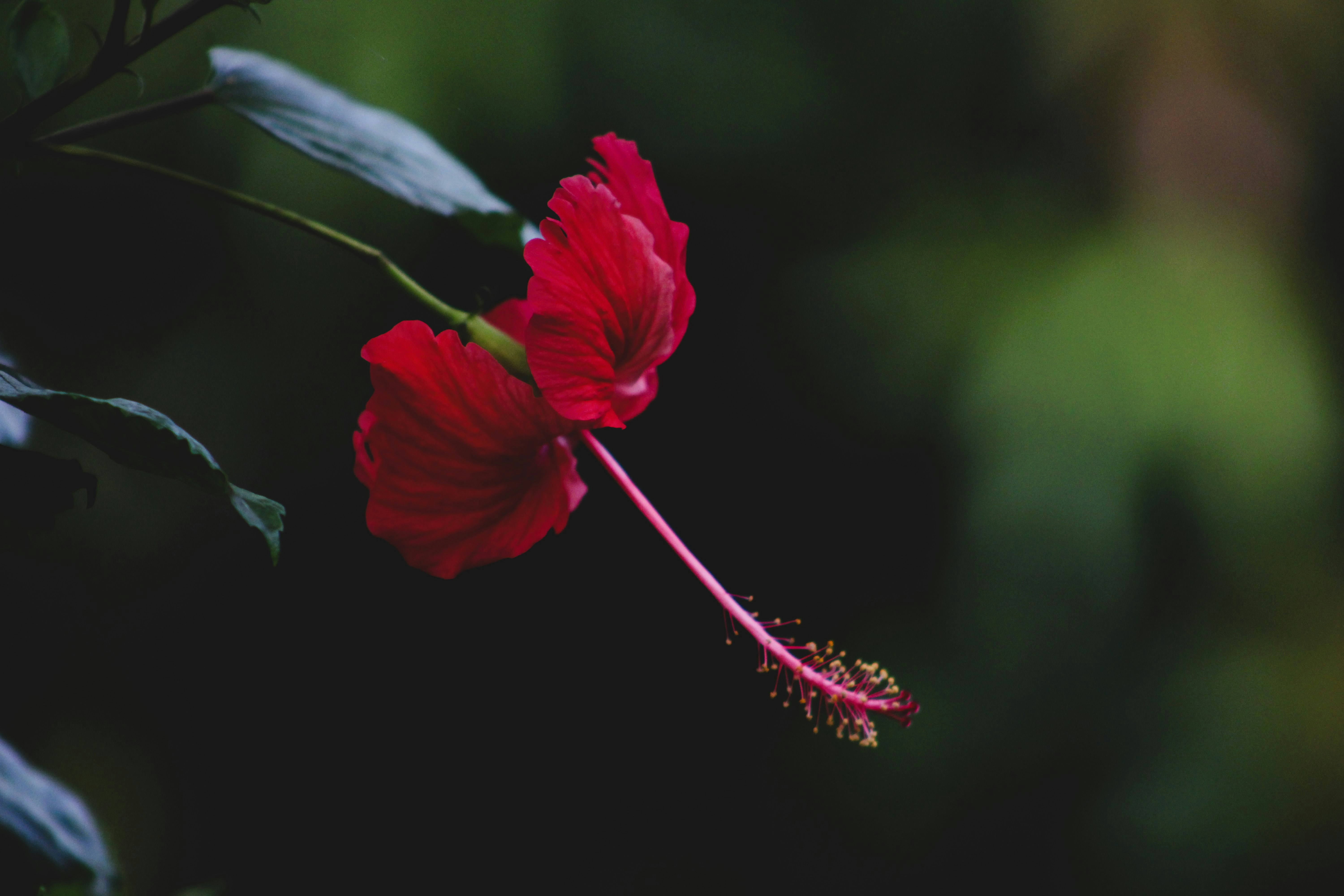 Photo by pradeepkickz