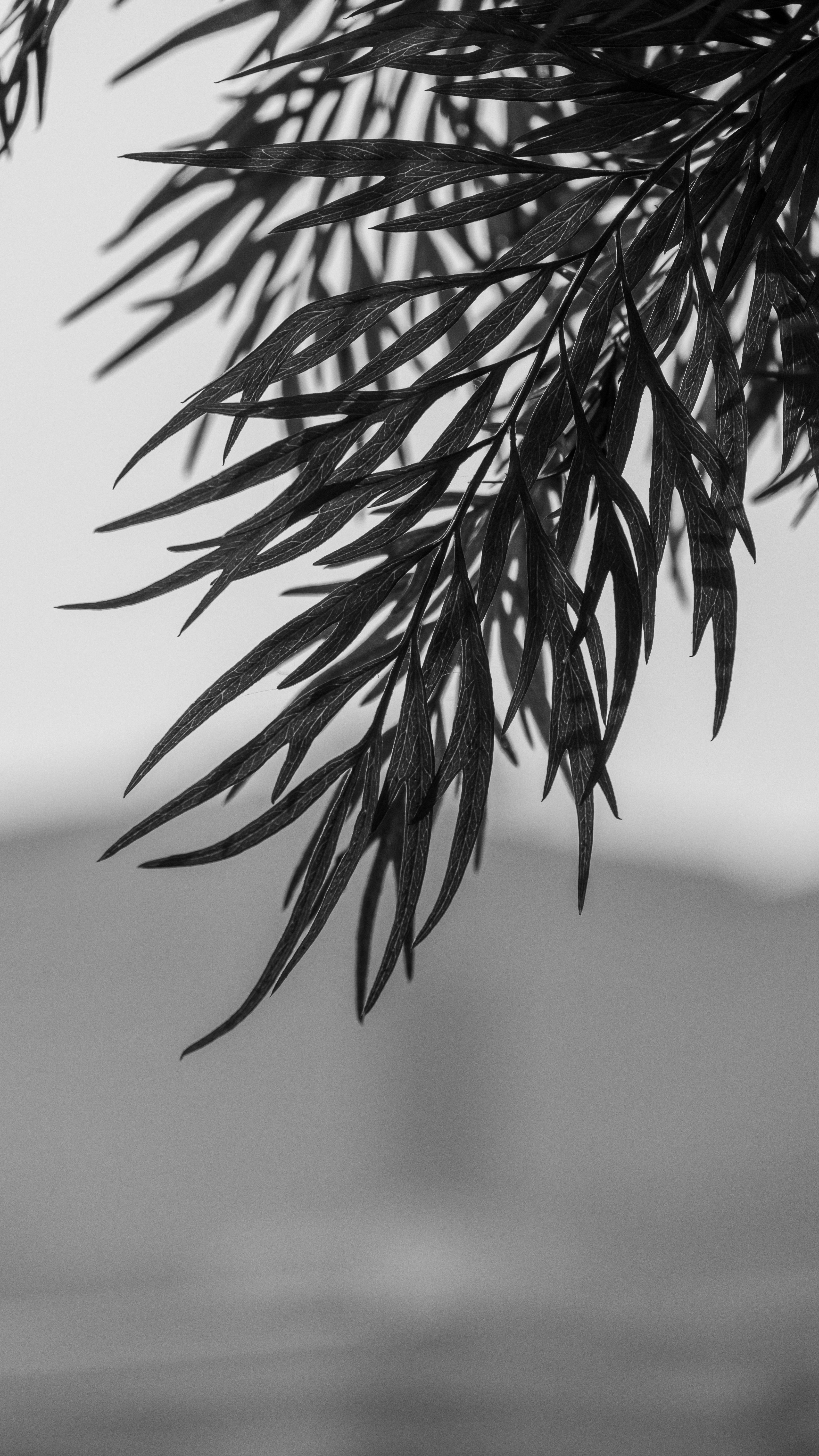 Photo by suryadoingstuff