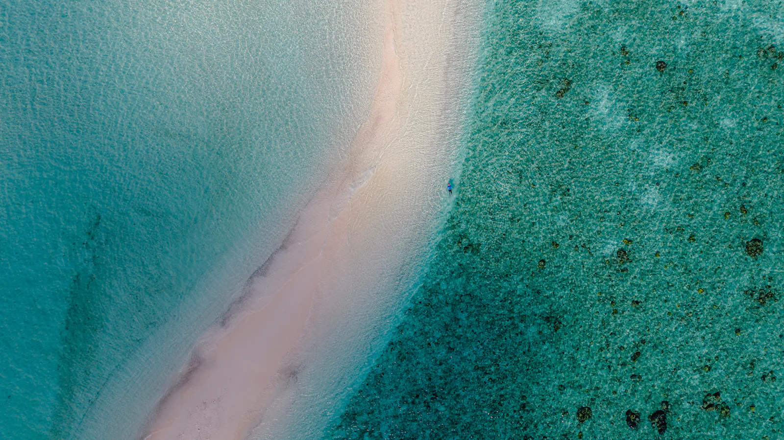 An aerial view of a remote sandbar in Kaafu Atoll, Maldives, with turquoise water and pink-tinged sand