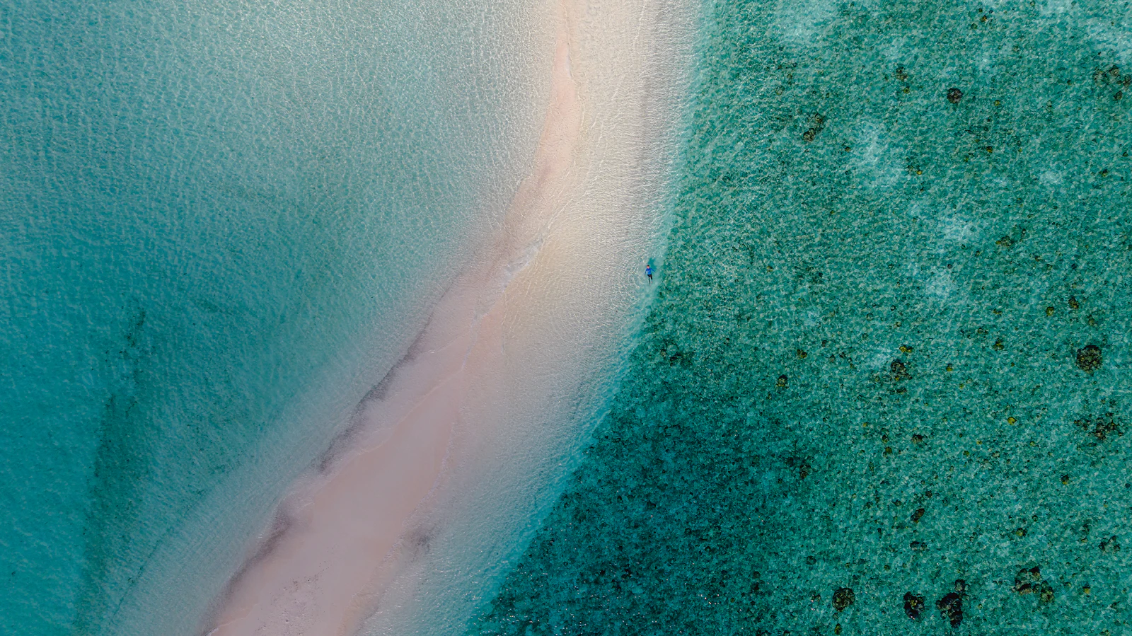 An aerial view of a remote sandbar in Kaafu Atoll, Maldives, with turquoise water and pink-tinged sand