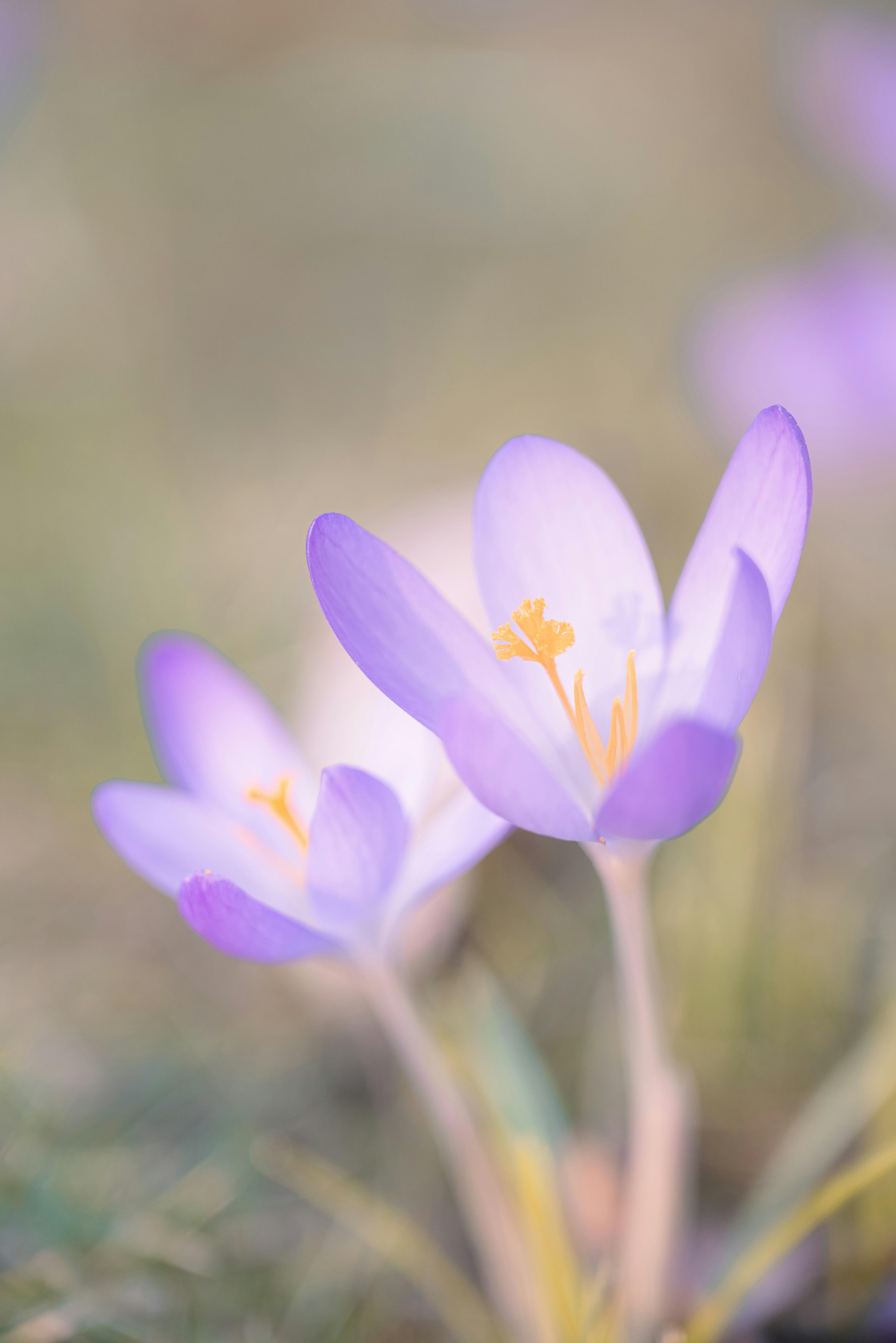 Photo by jetztabertempo