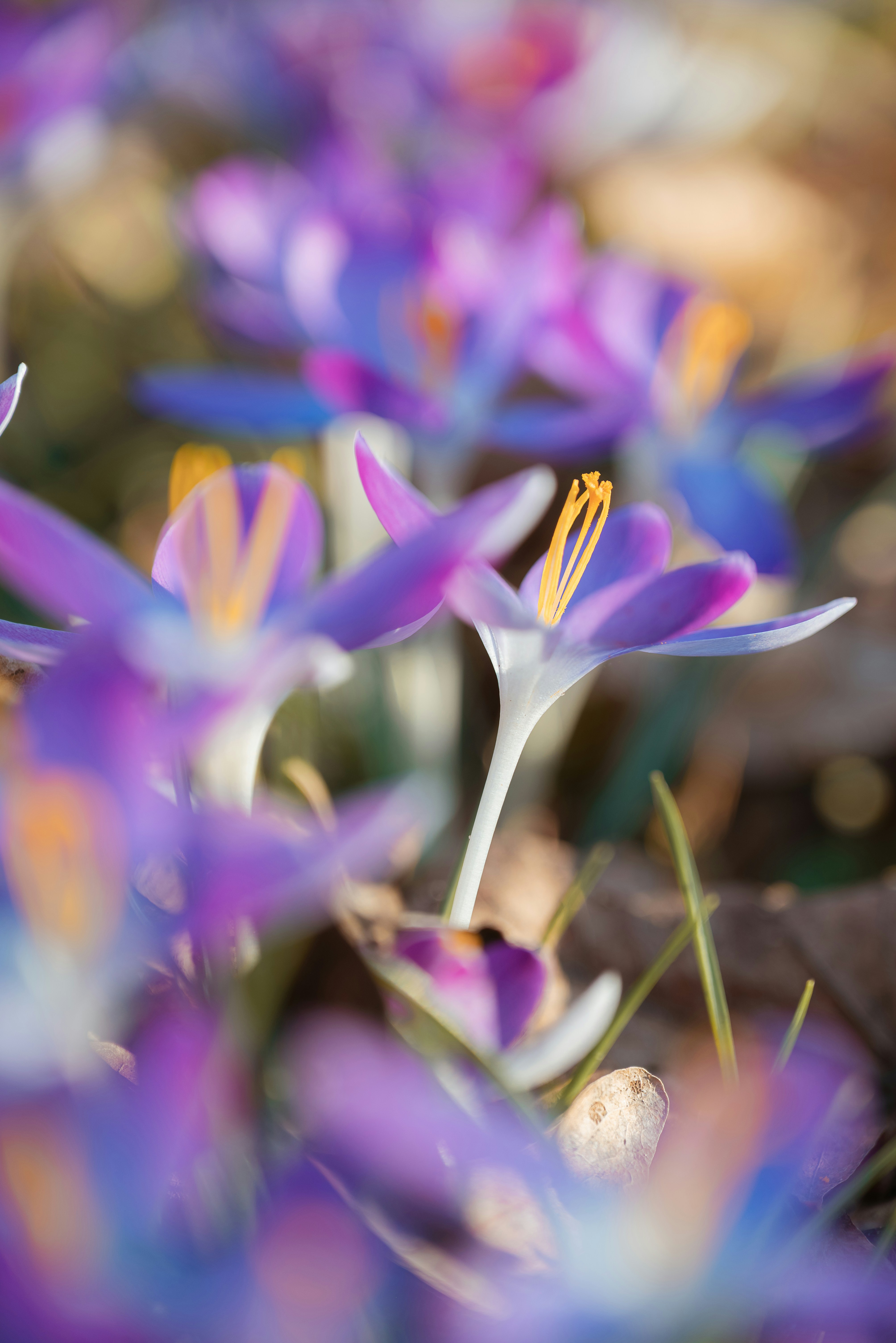 Photo by jetztabertempo