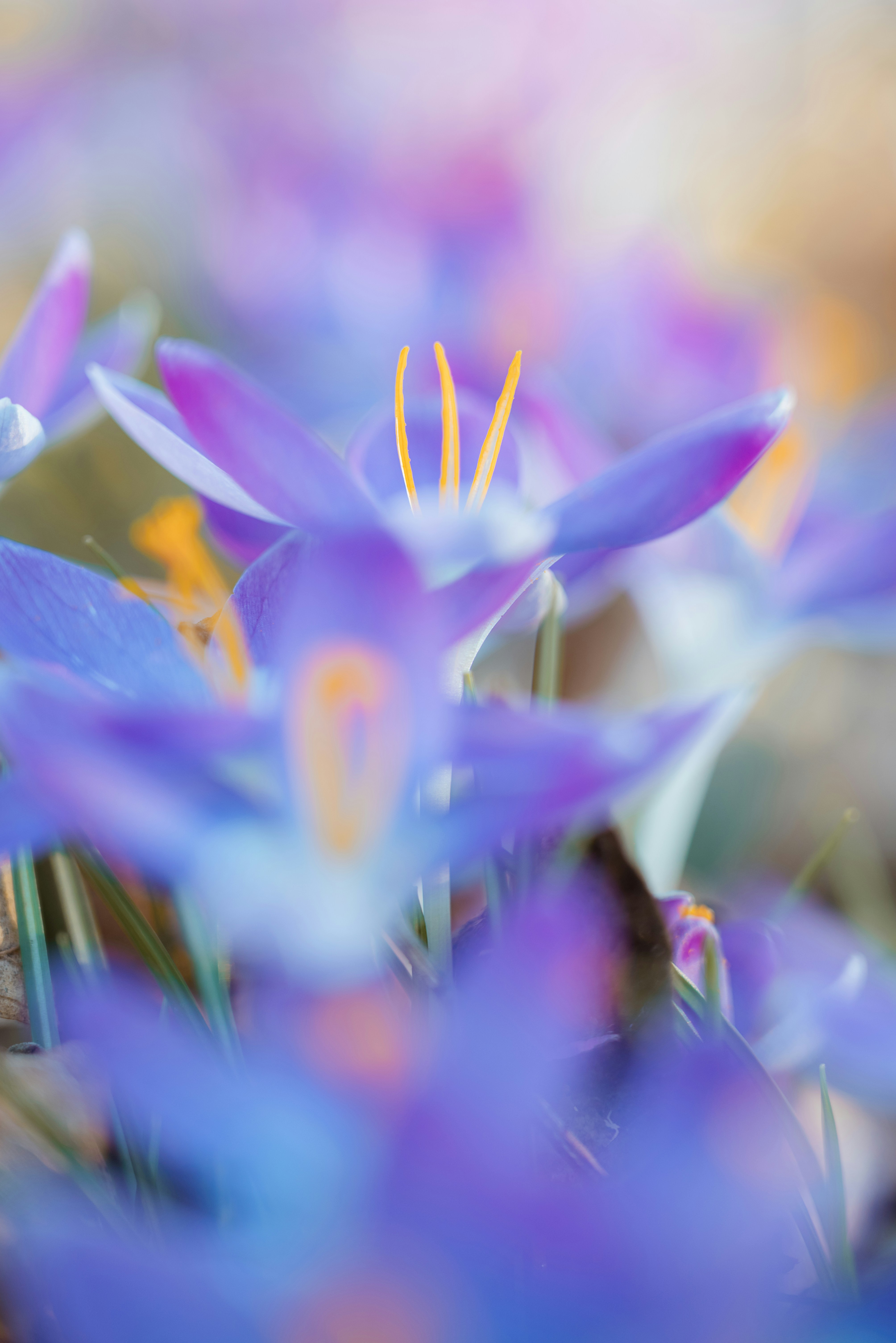 Photo by jetztabertempo