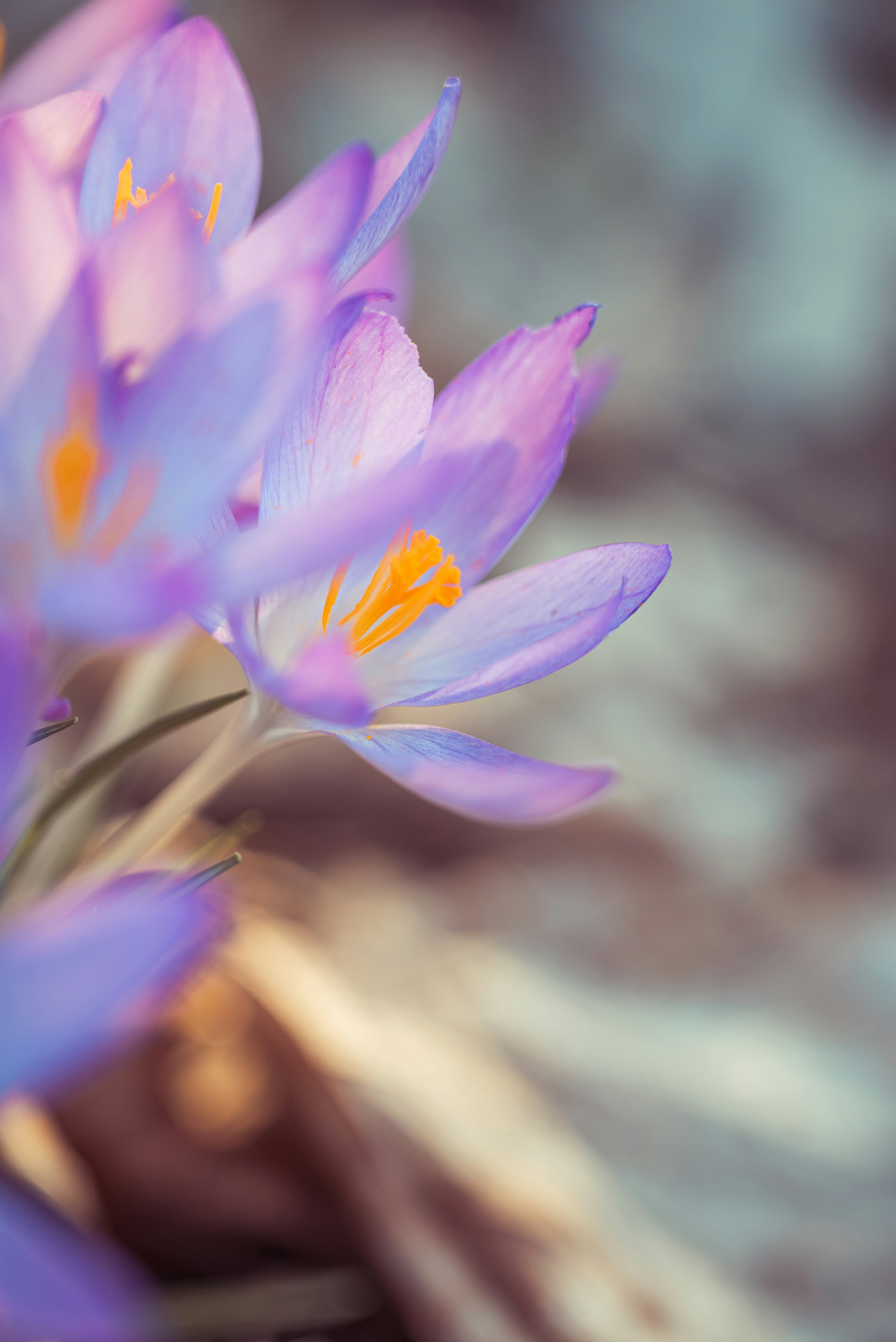 Photo by jetztabertempo