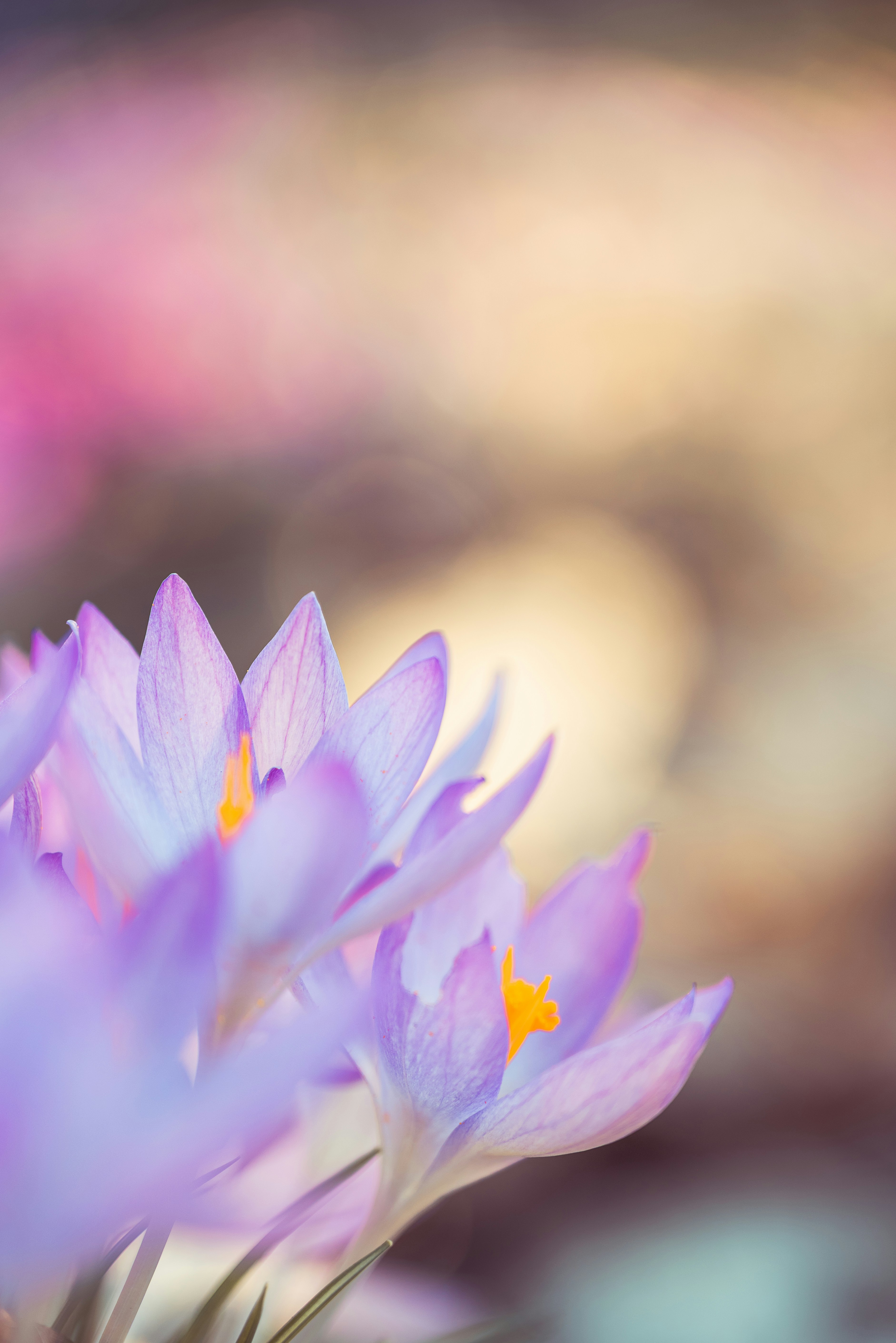 Photo by jetztabertempo