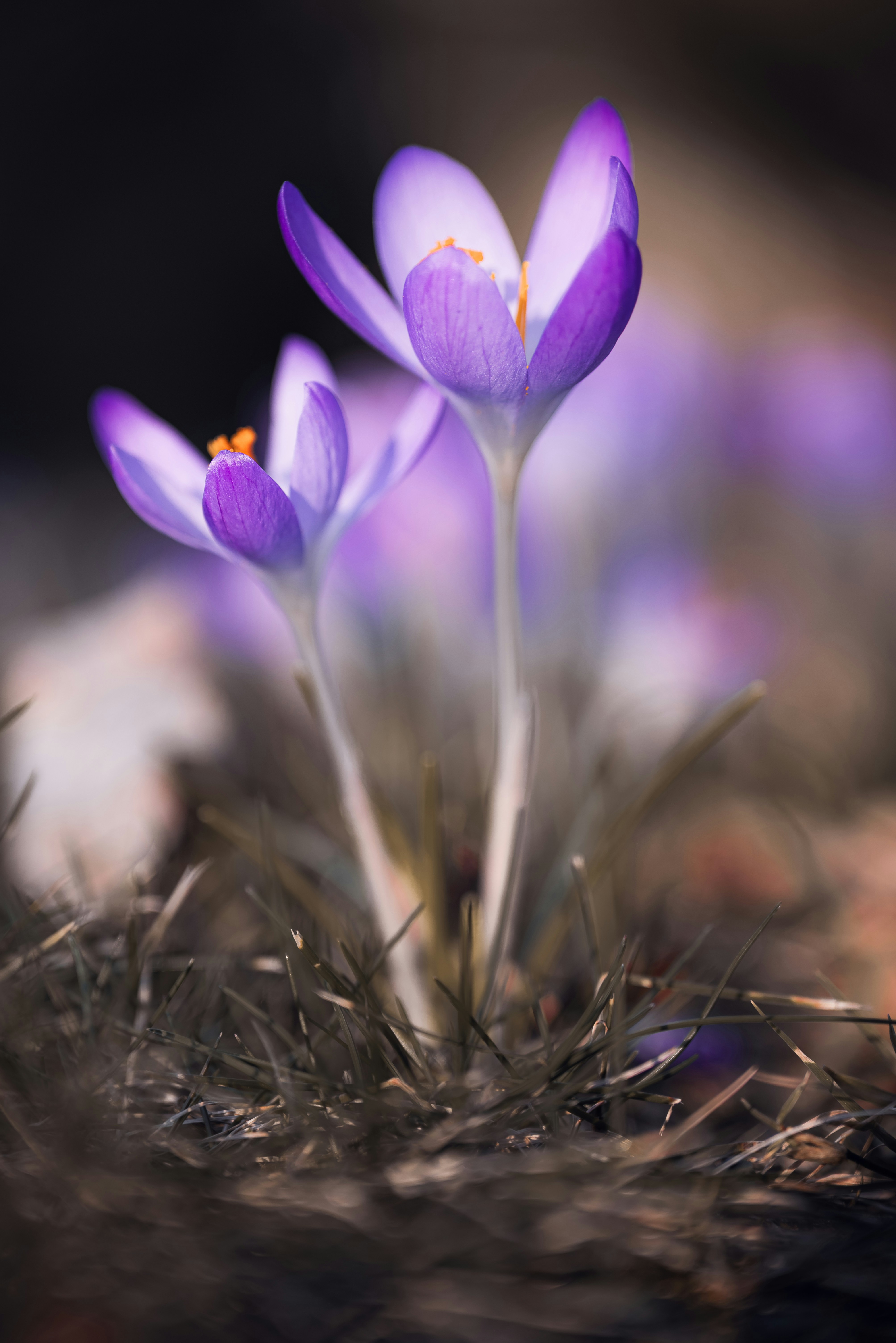 Photo by jetztabertempo