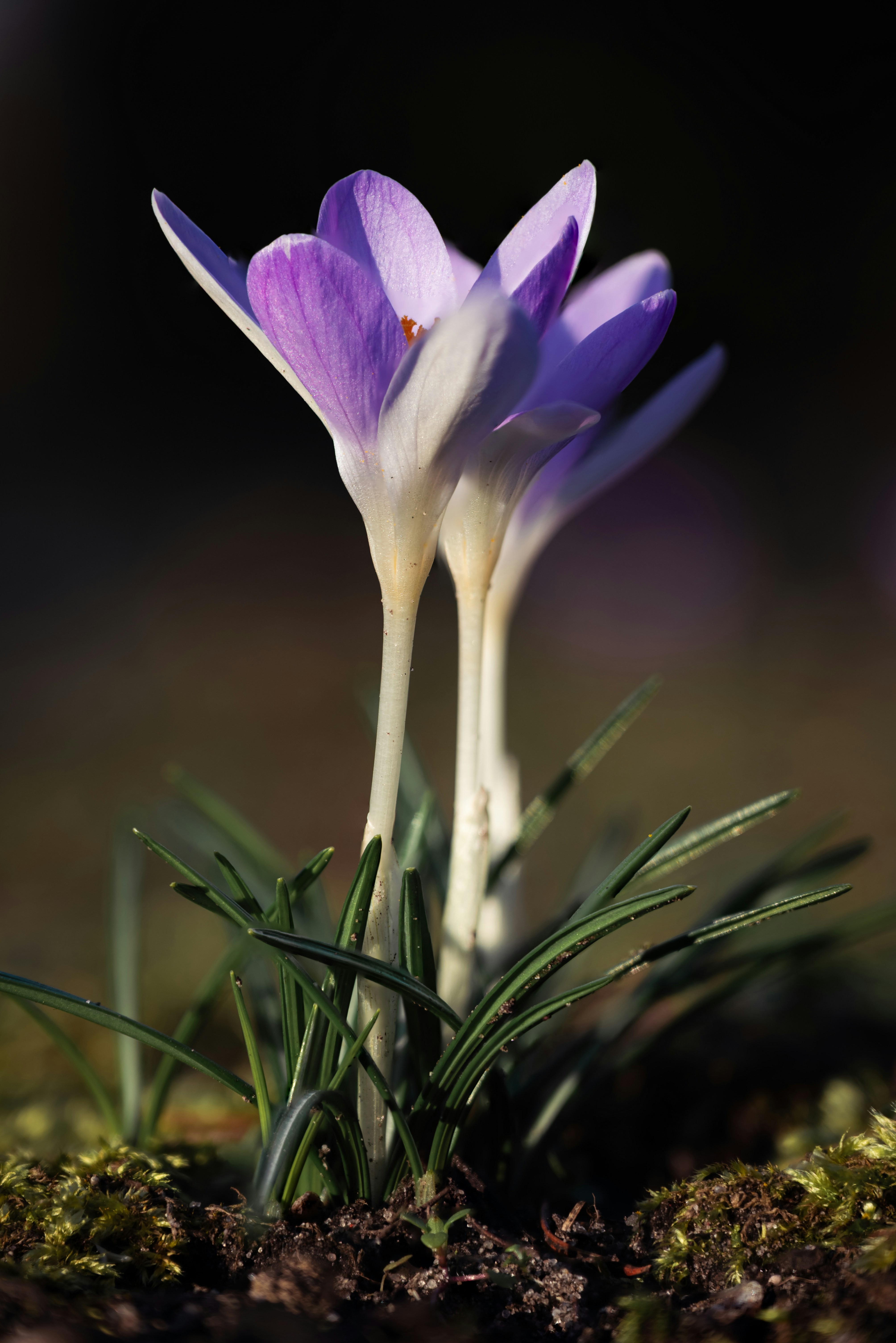 Photo by jetztabertempo