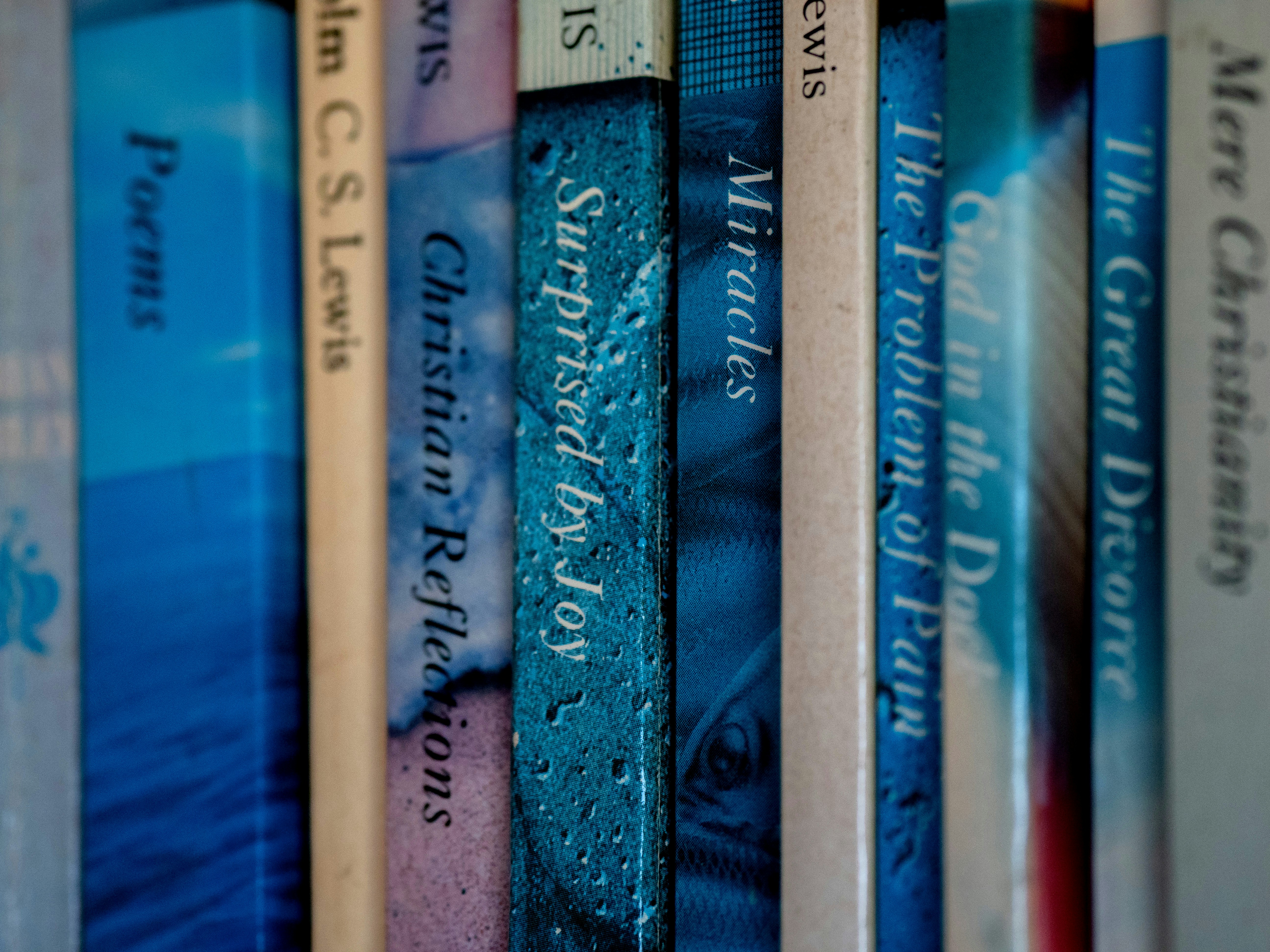 books, close up, focus, library, book case, spine, reading,