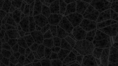 Dark background with a cellular pattern