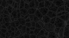 Dark background with a cellular pattern