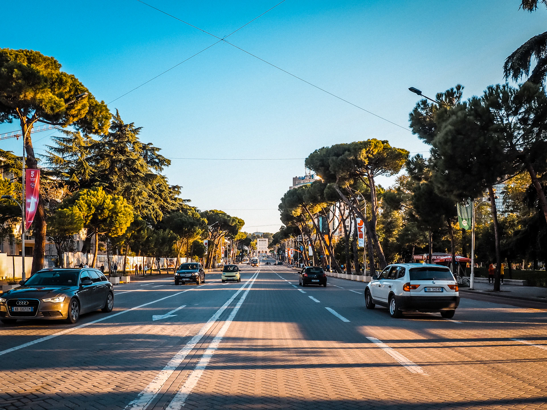 A tree-lined avenue in Tirana, Albania