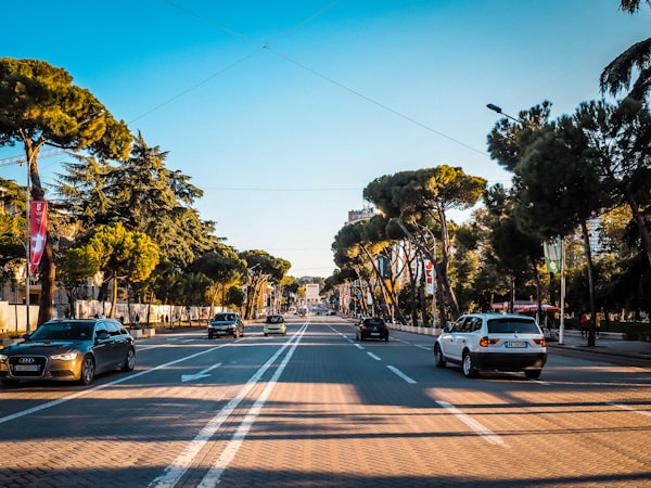 Tree-lined boulevard in central Tirana with light traffic on a sunny day