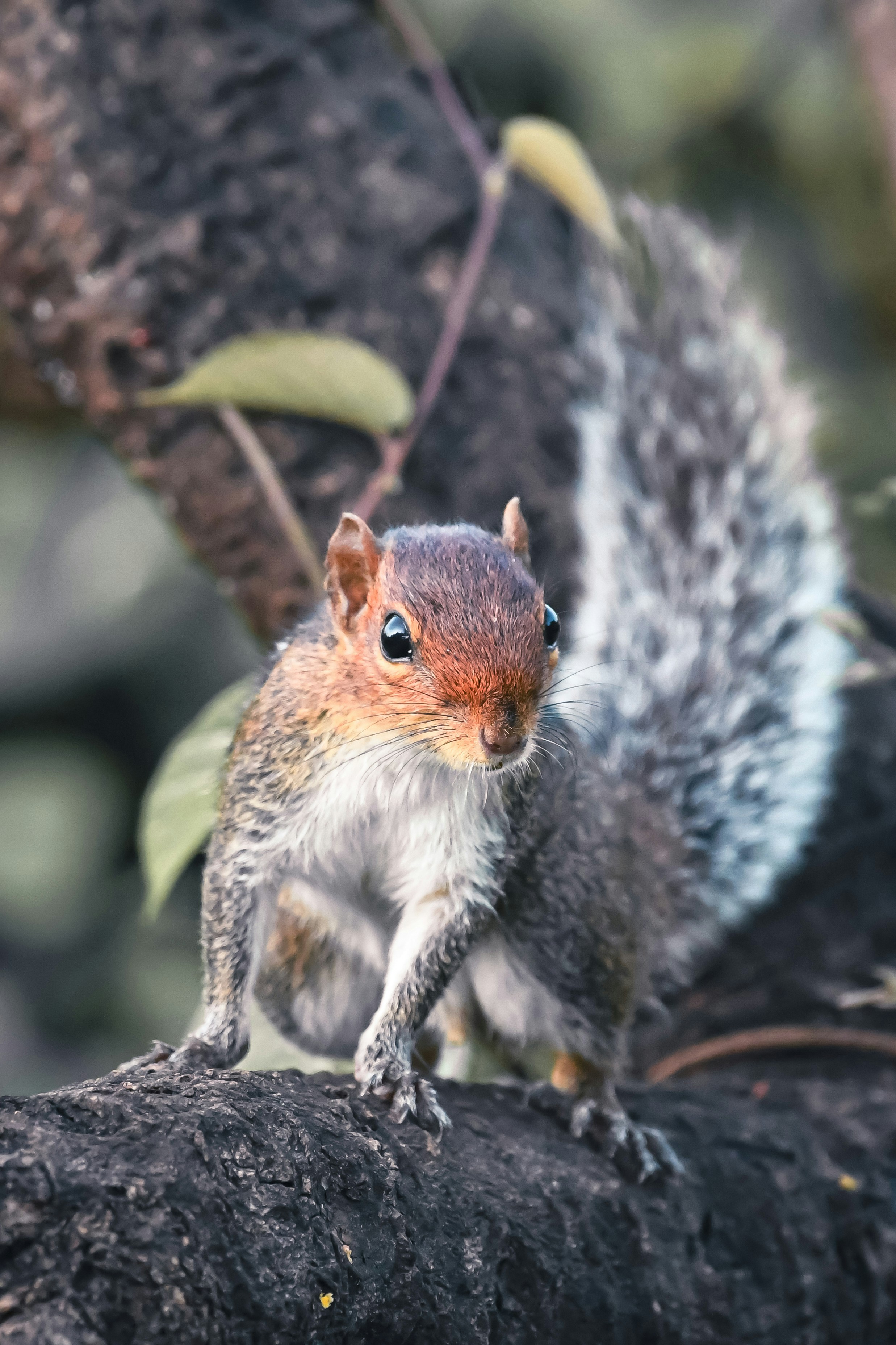 Photo by shijinkamalon