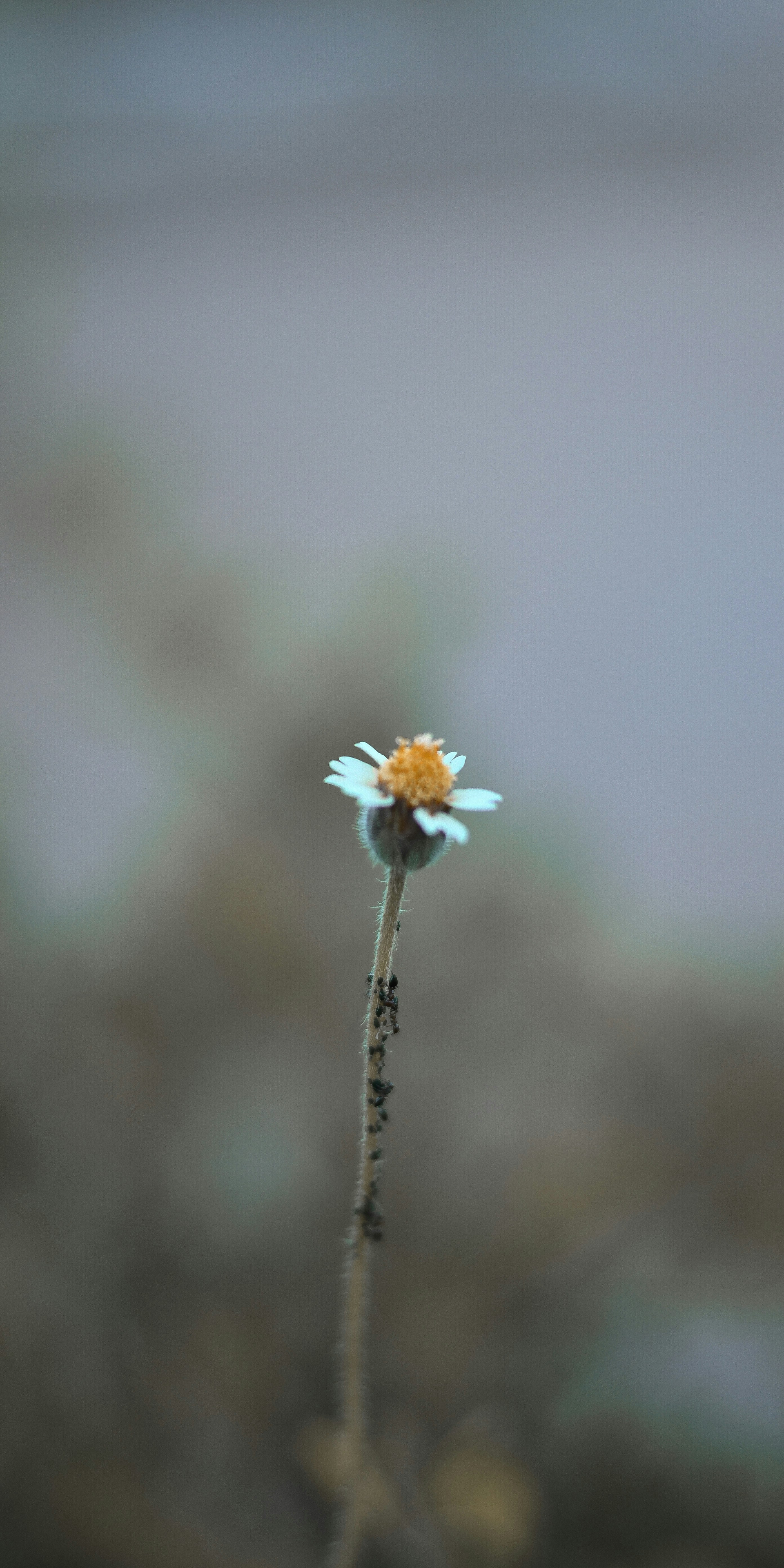 Photo by shijinkamalon