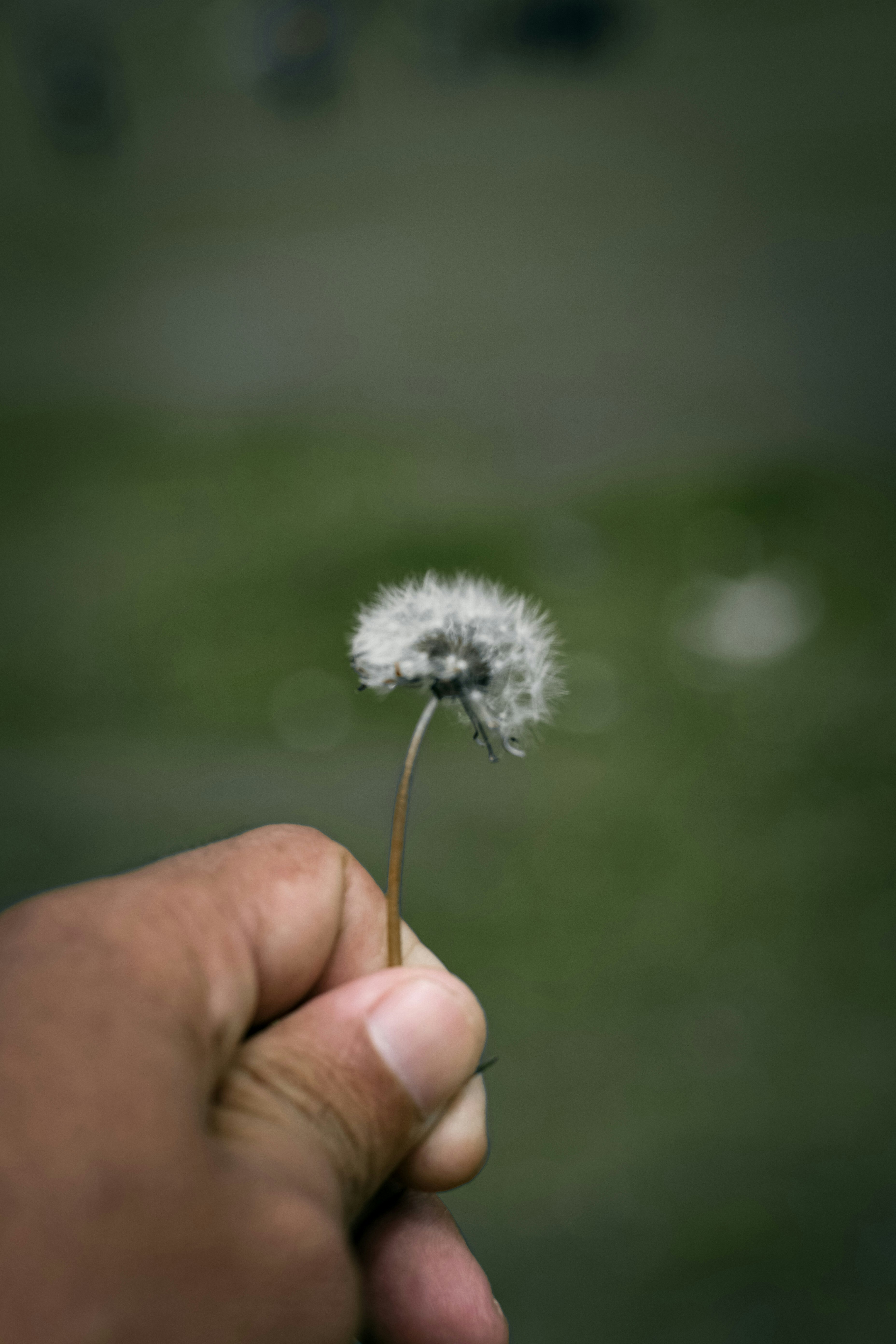 Photo by shijinkamalon