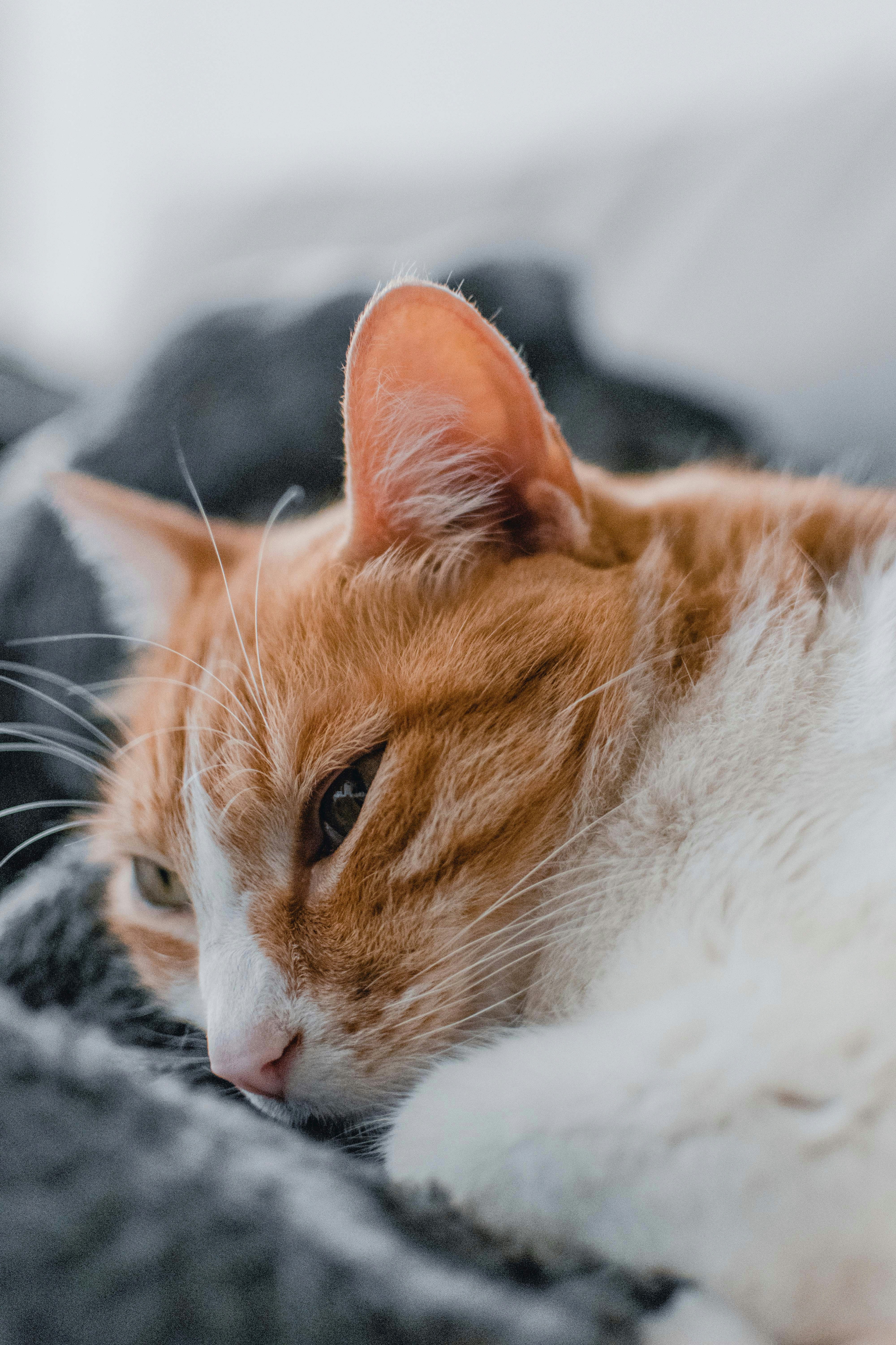 Photo by esteban__chinchilla