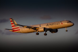 American Airlines, Alaska Airlines, Air France Airlines, Delta Airlines, Eva Airlines, JSX Flights, 