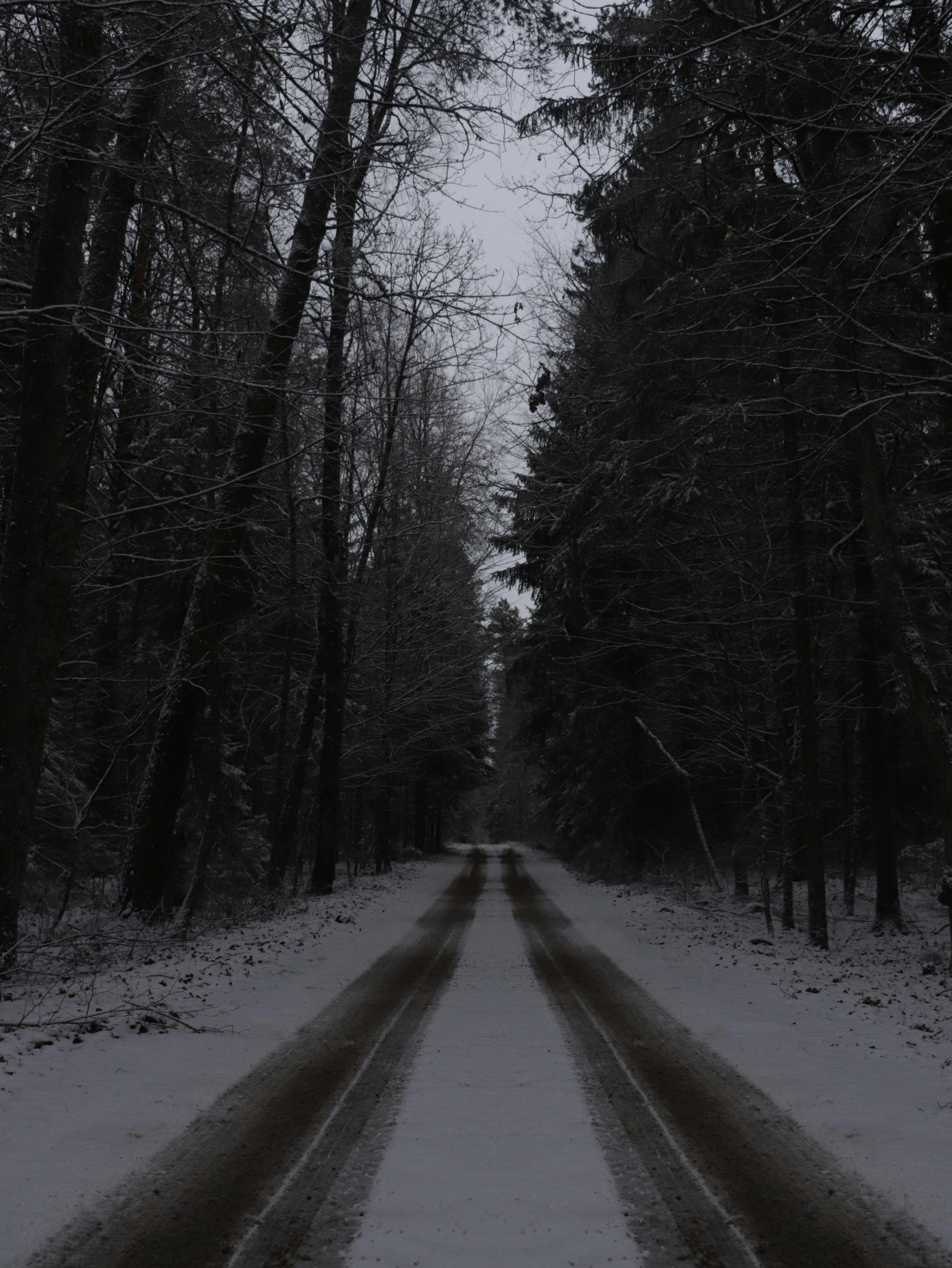 Snowy road leads through a dark forest. photo – Free Wallpaper Image on  Unsplash, image size:3000x3996