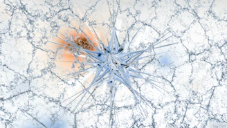 A frozen starburst with cracked ice texture.