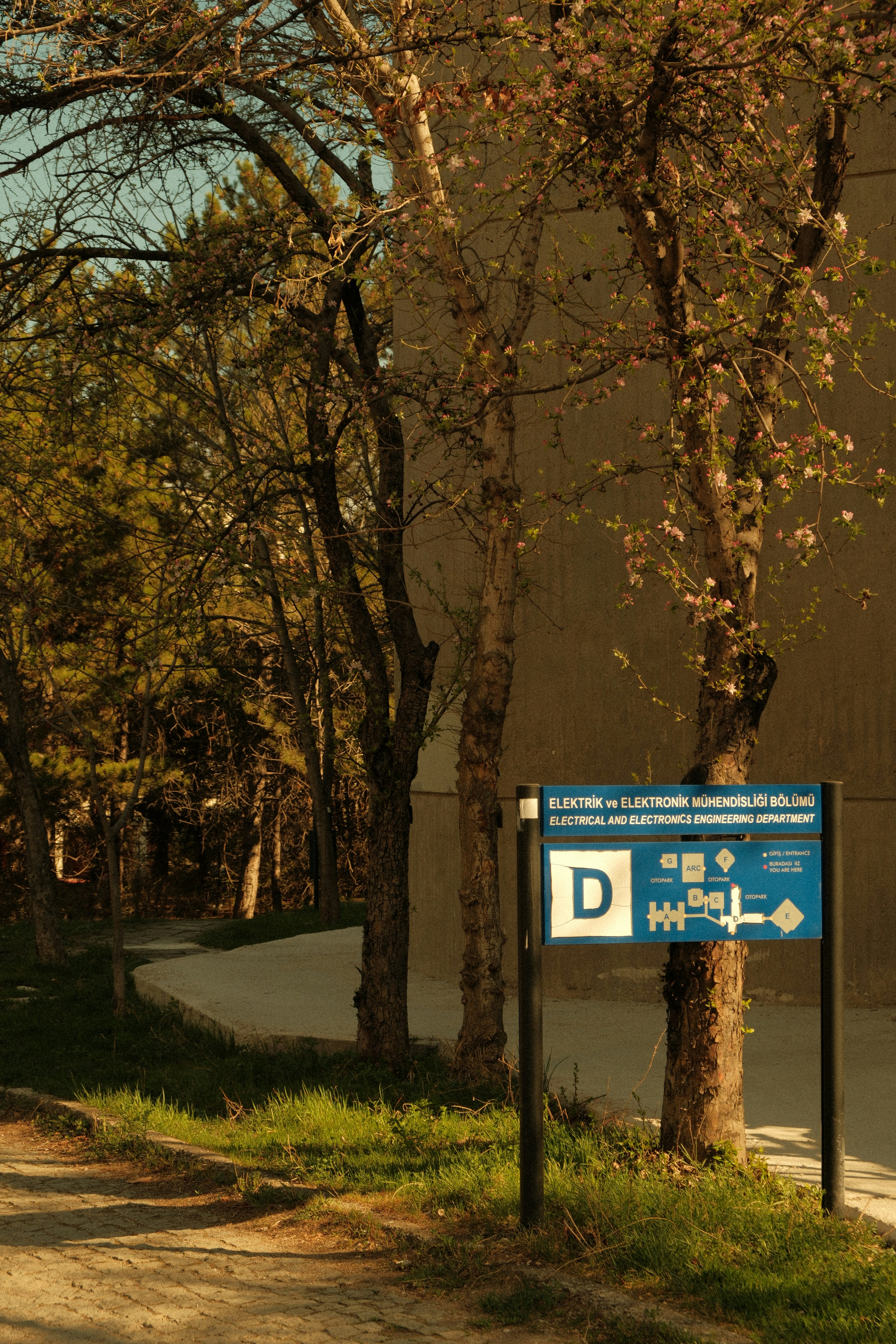 Signpost pointing towards an electrical building entrance.
