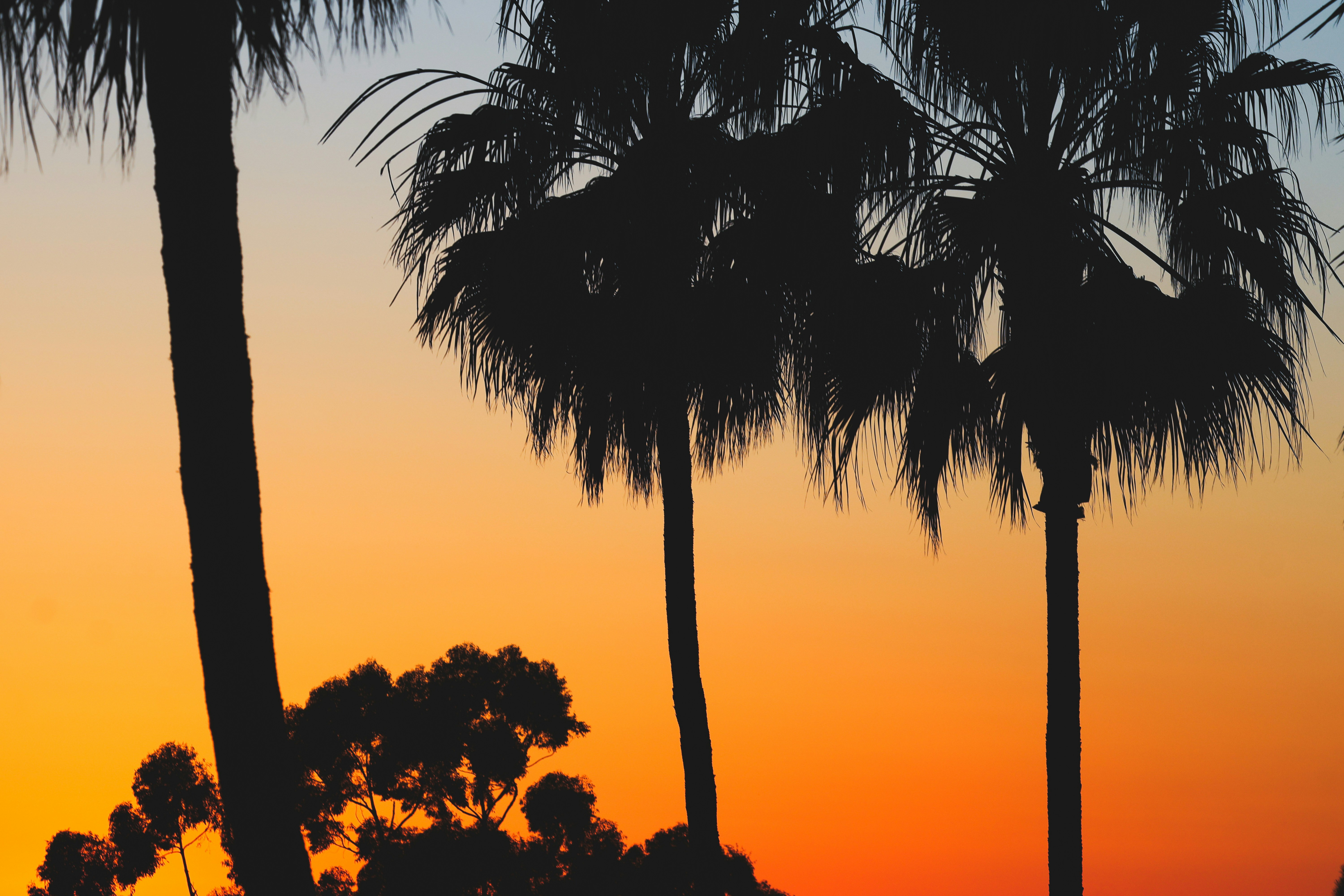 Photo by timbagwell627