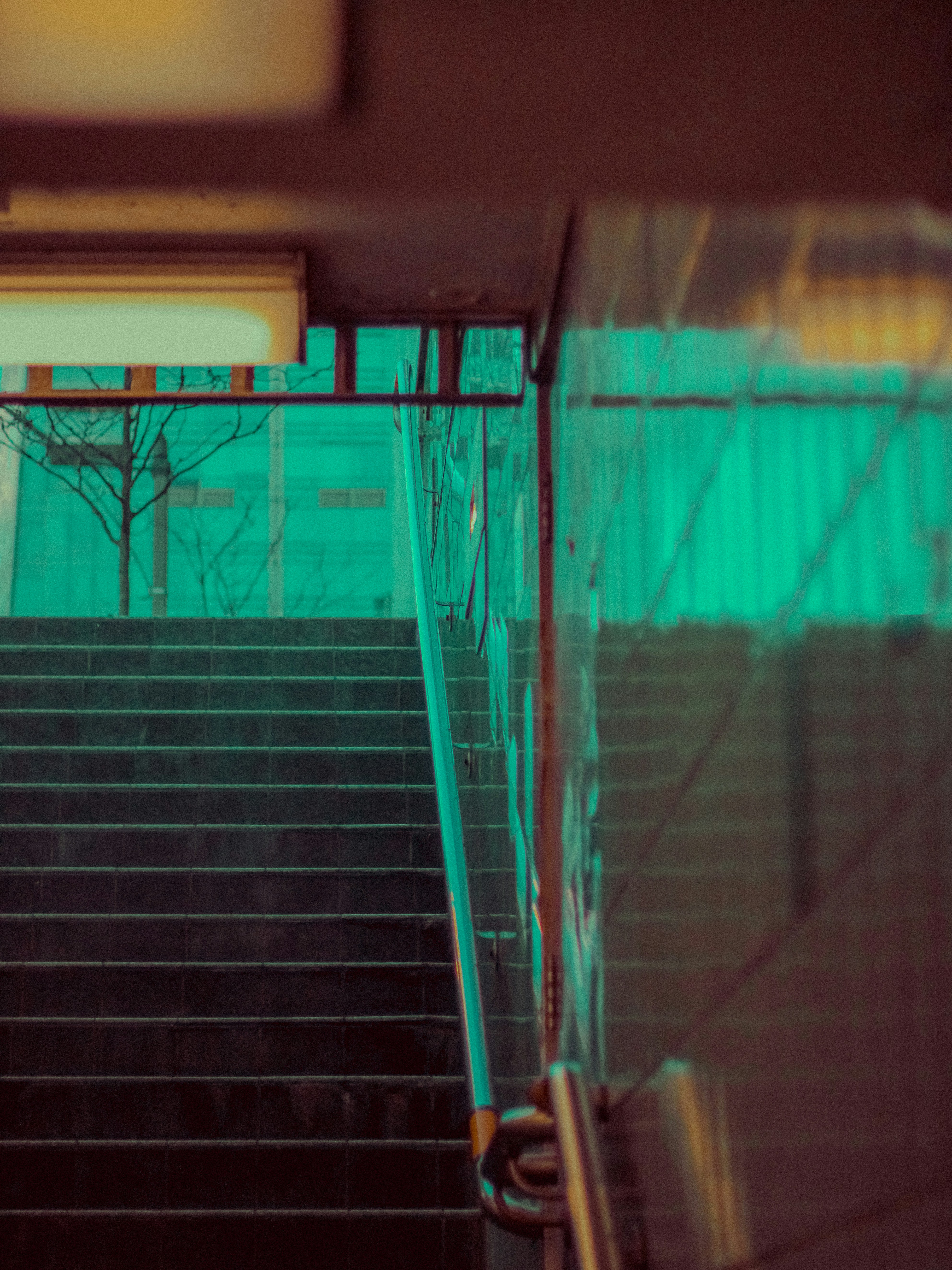 Photo by linusbelanger