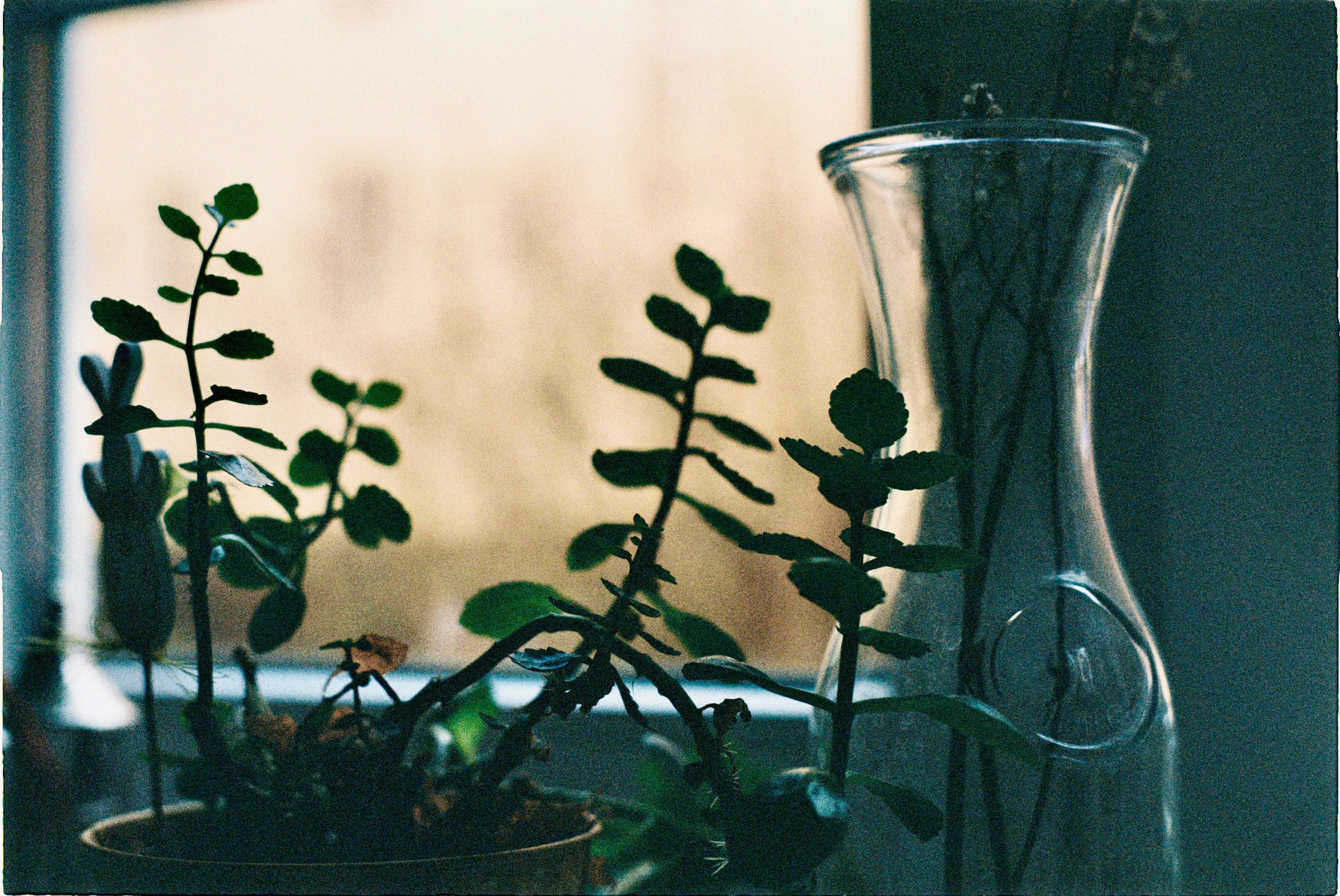 Photo by hasantayyar