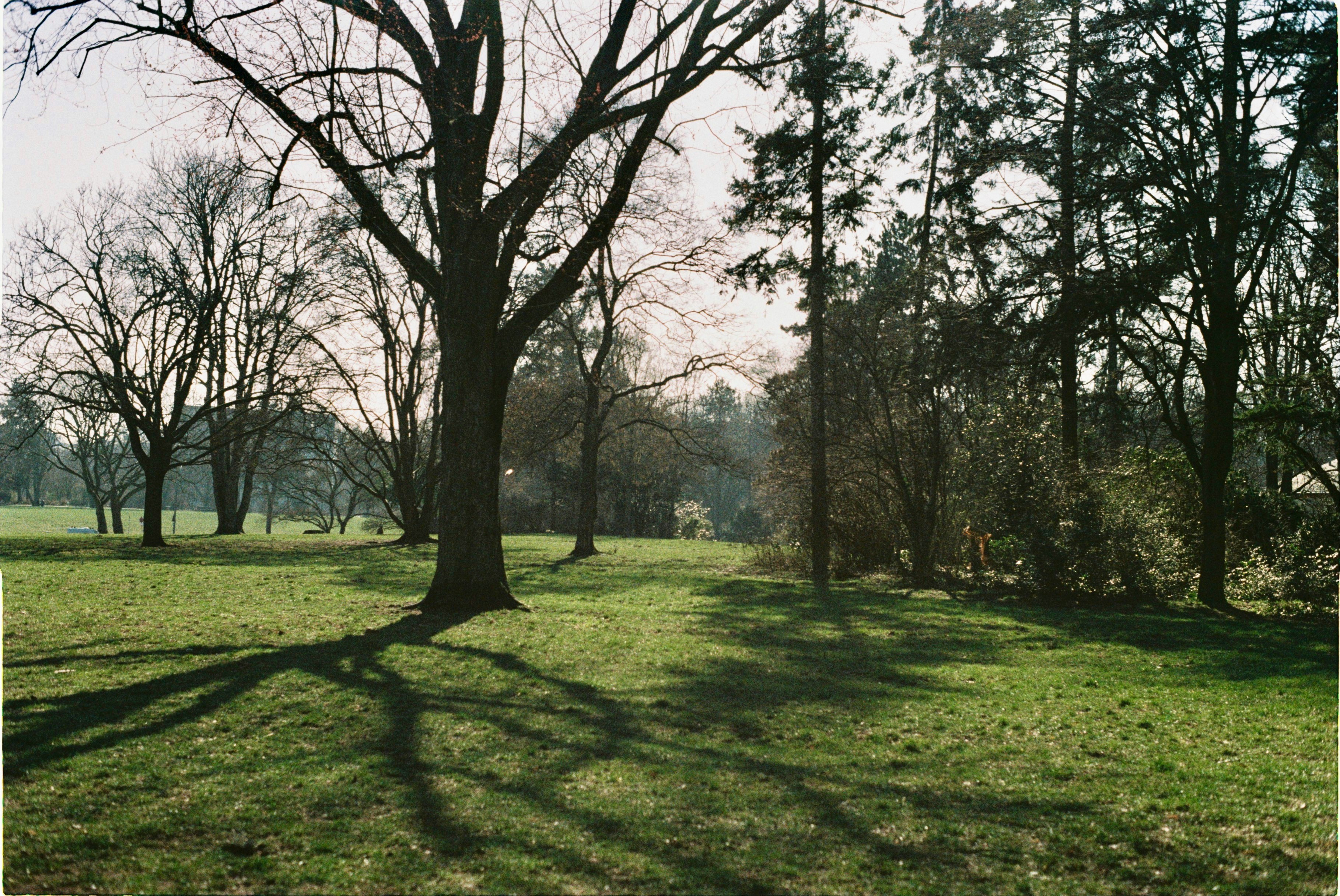 Photo by hasantayyar