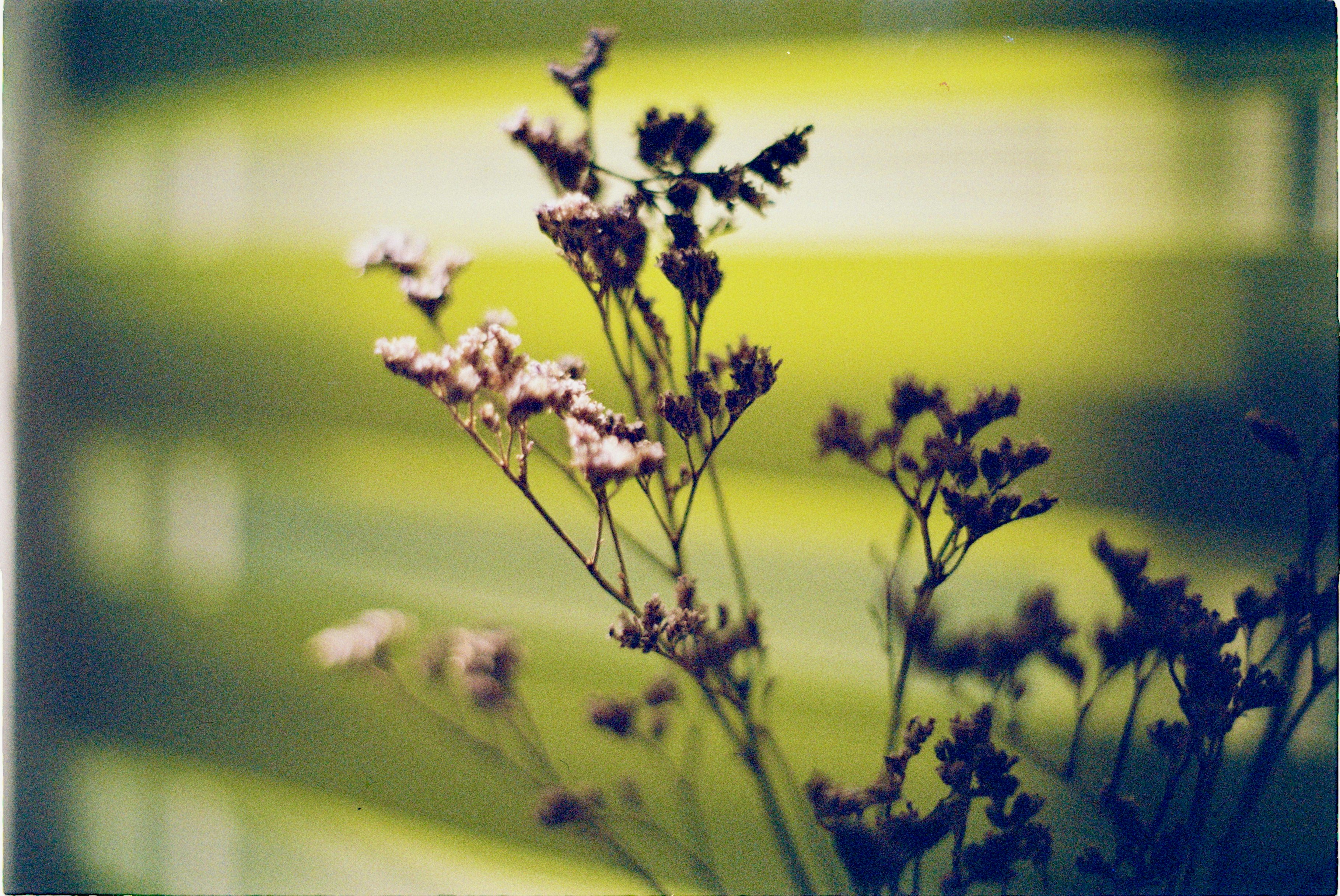 Photo by hasantayyar