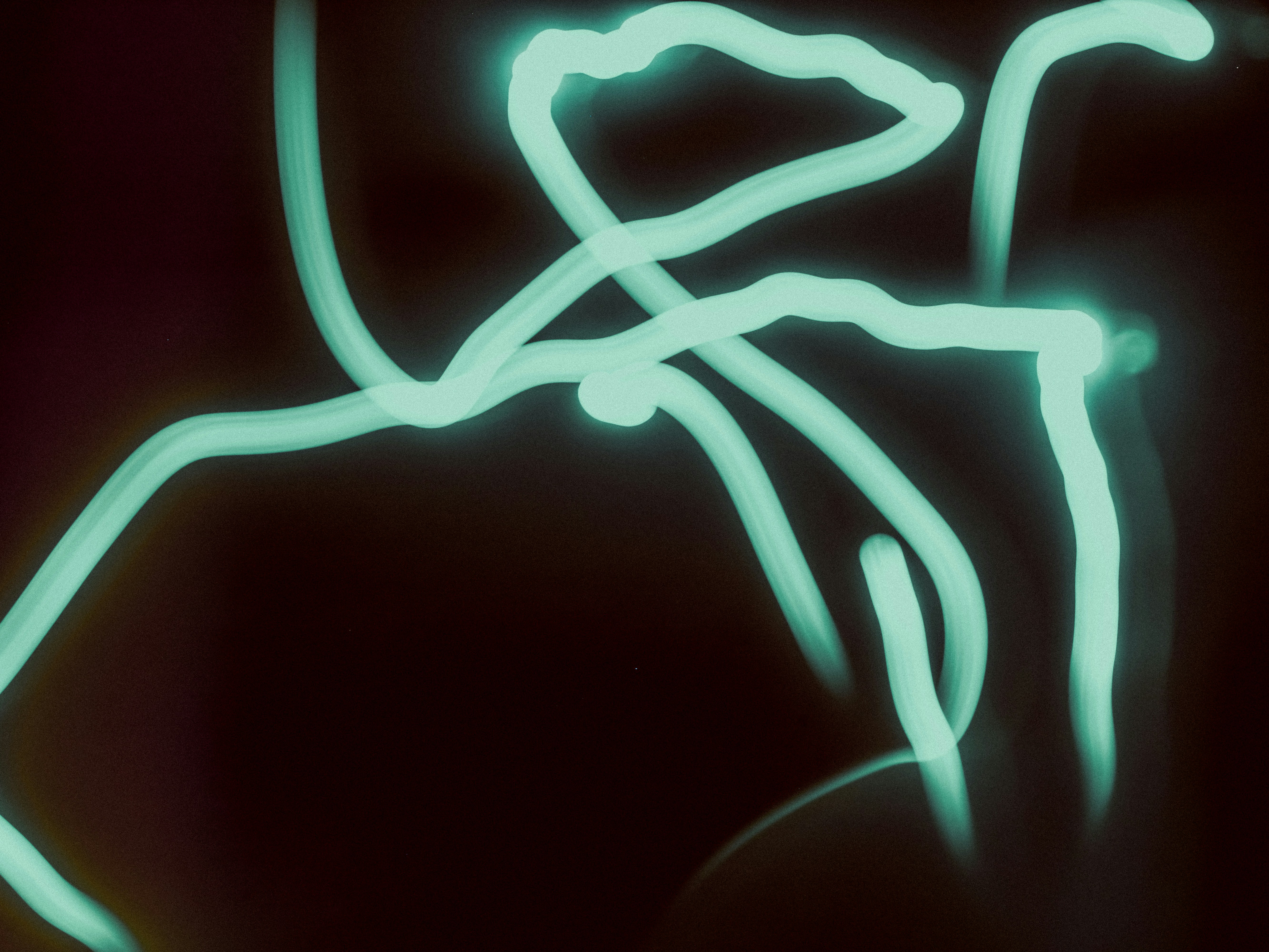 Photo by linusbelanger