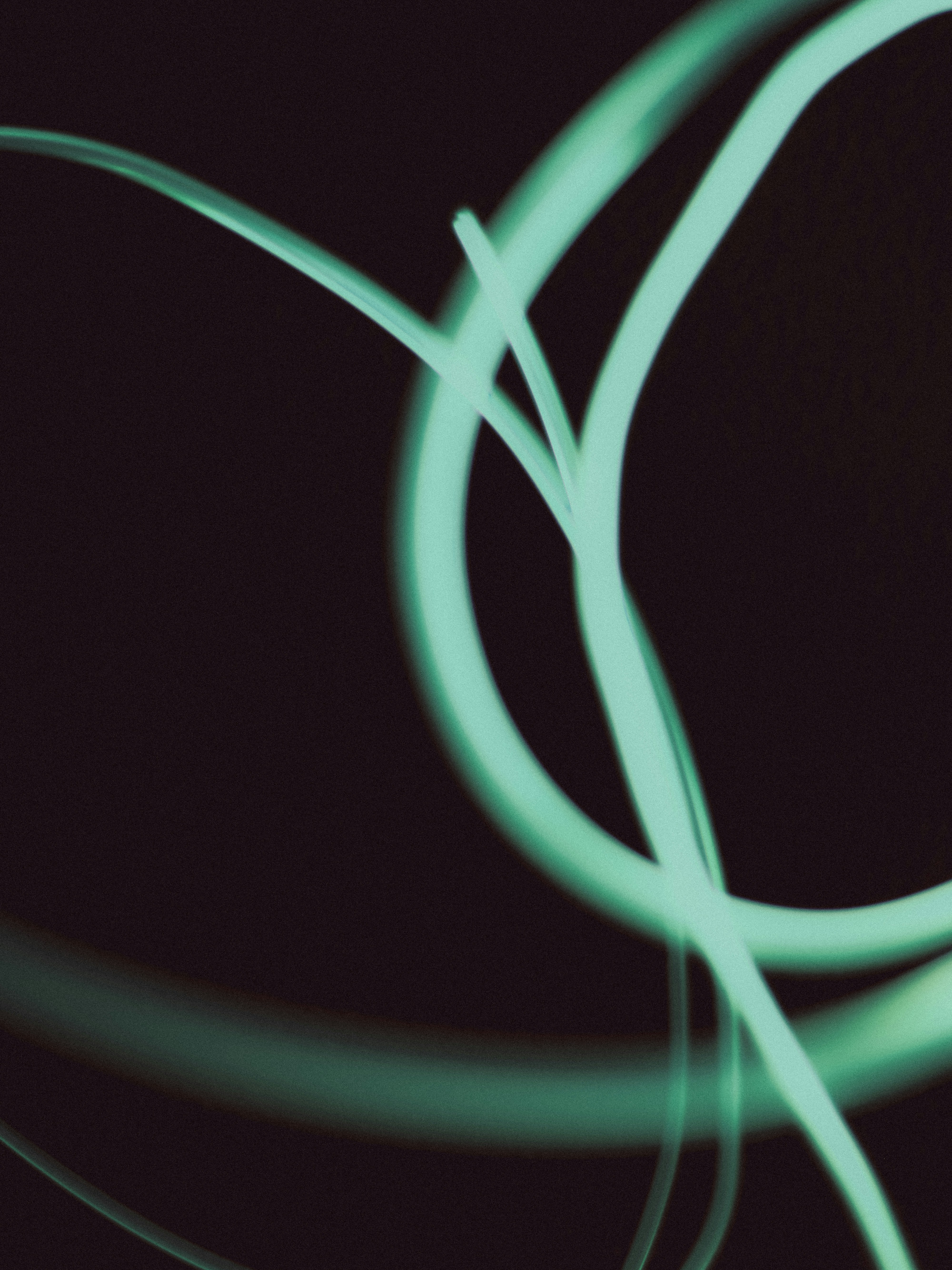 Photo by linusbelanger