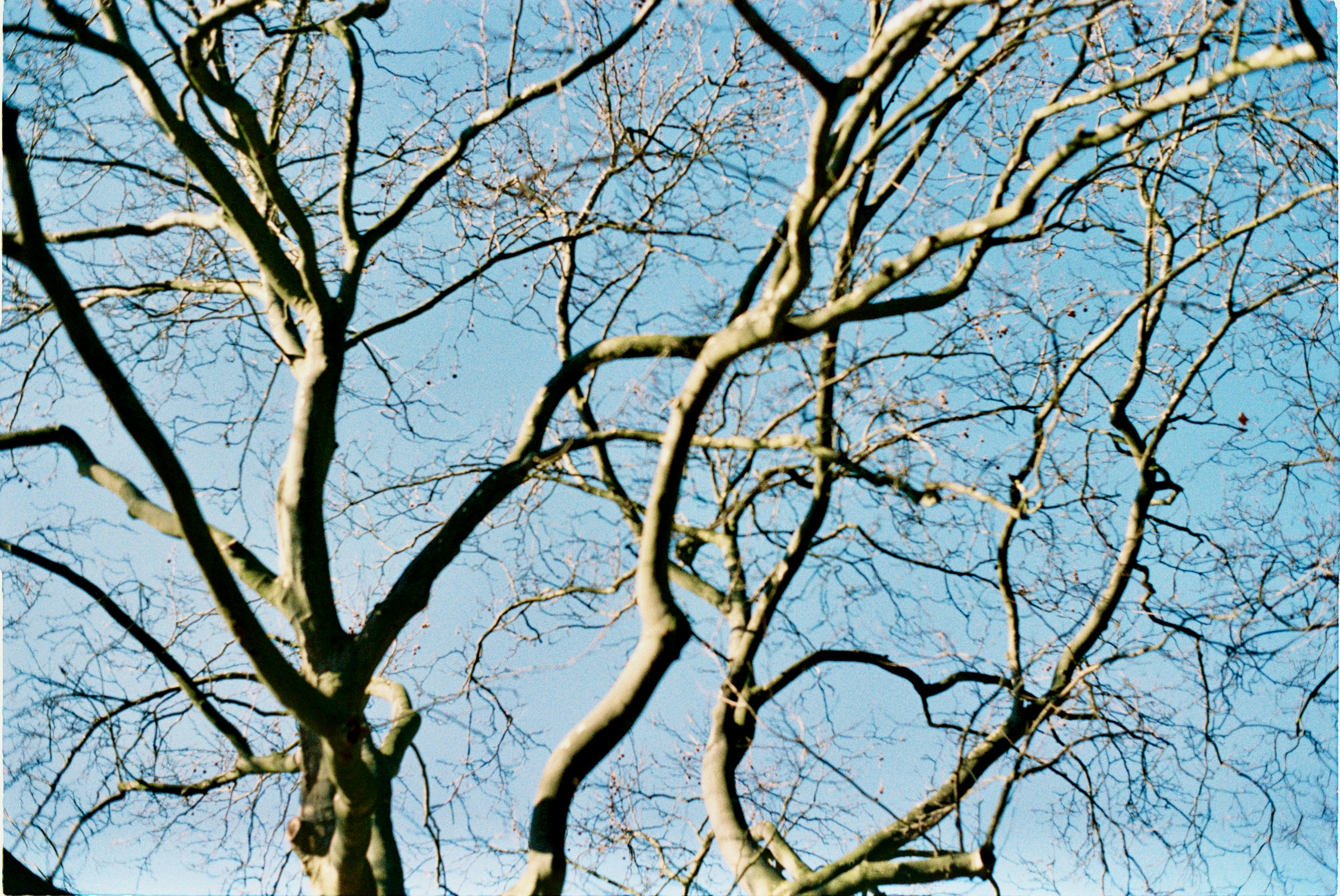 Photo by hasantayyar