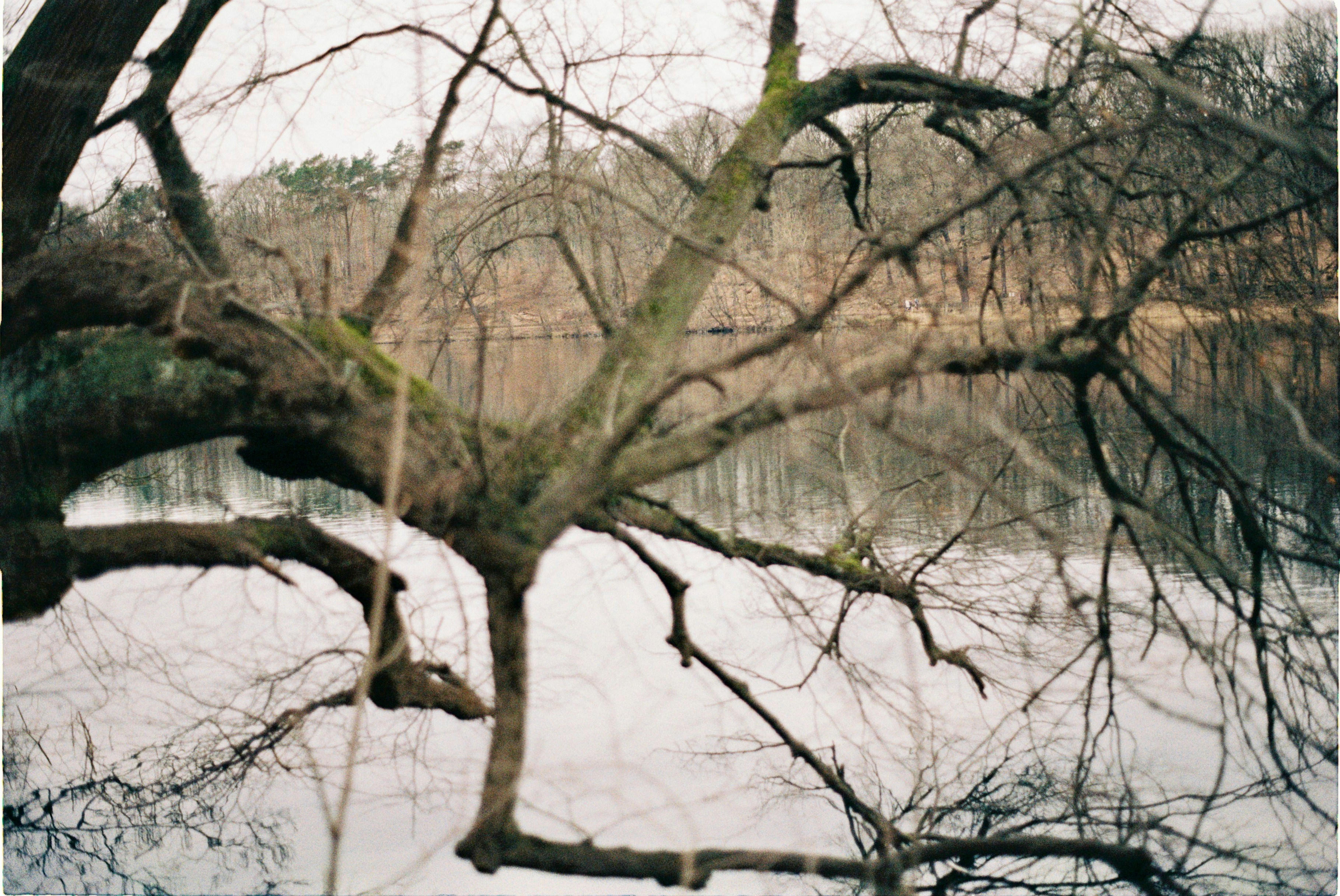 Photo by hasantayyar