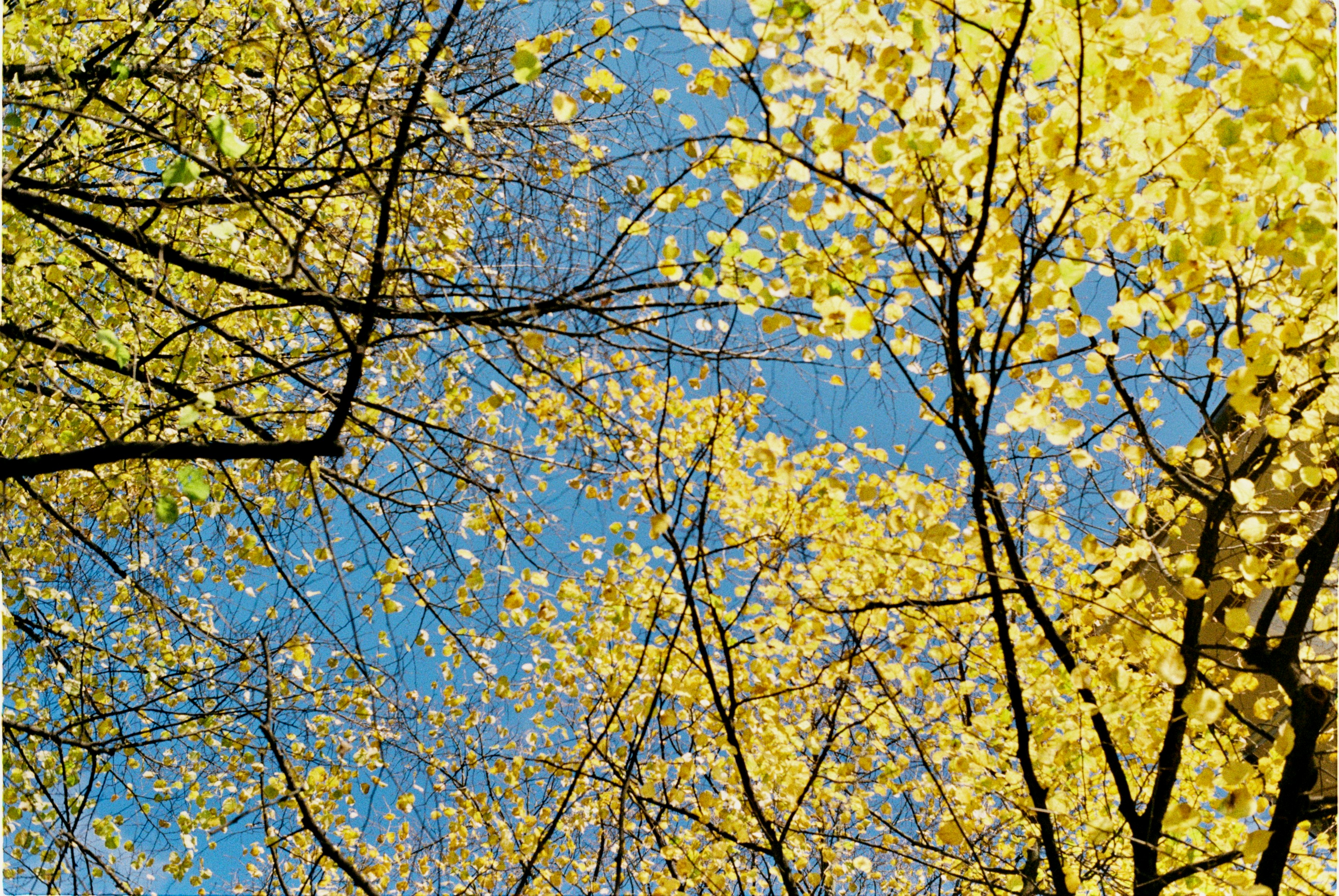 Photo by hasantayyar