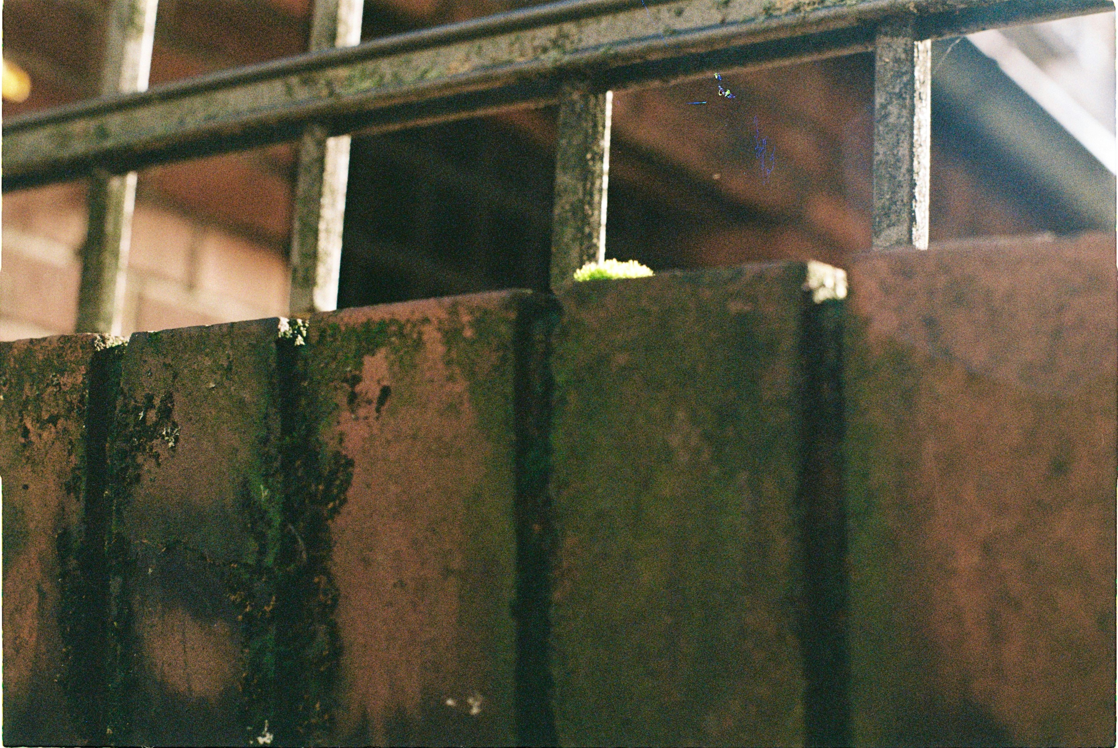 Photo by hasantayyar