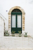 A green door is framed by stone and plants.