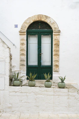 A green door is framed by stone and plants.