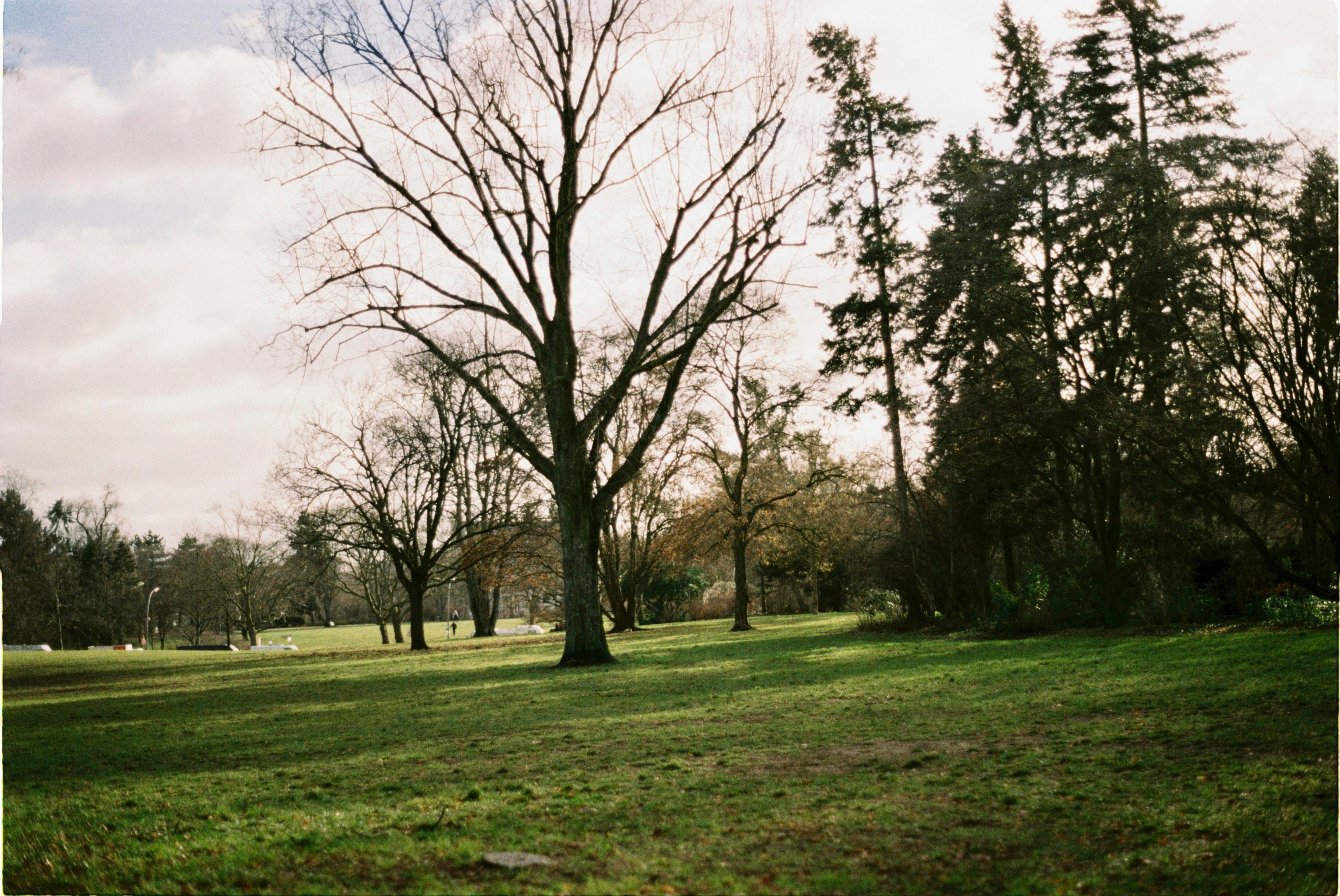 Photo by hasantayyar