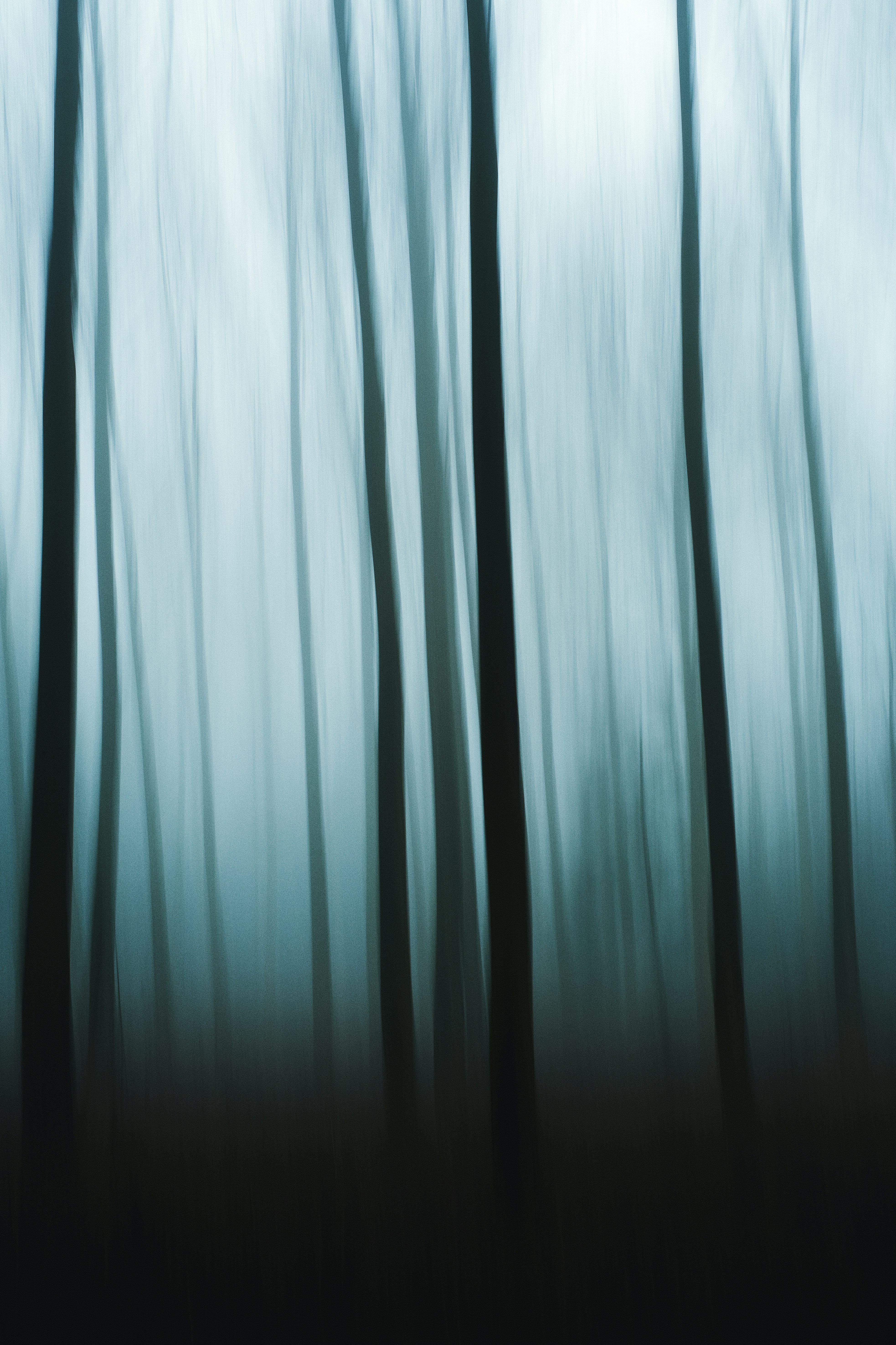 Portrait and lifestyle photography