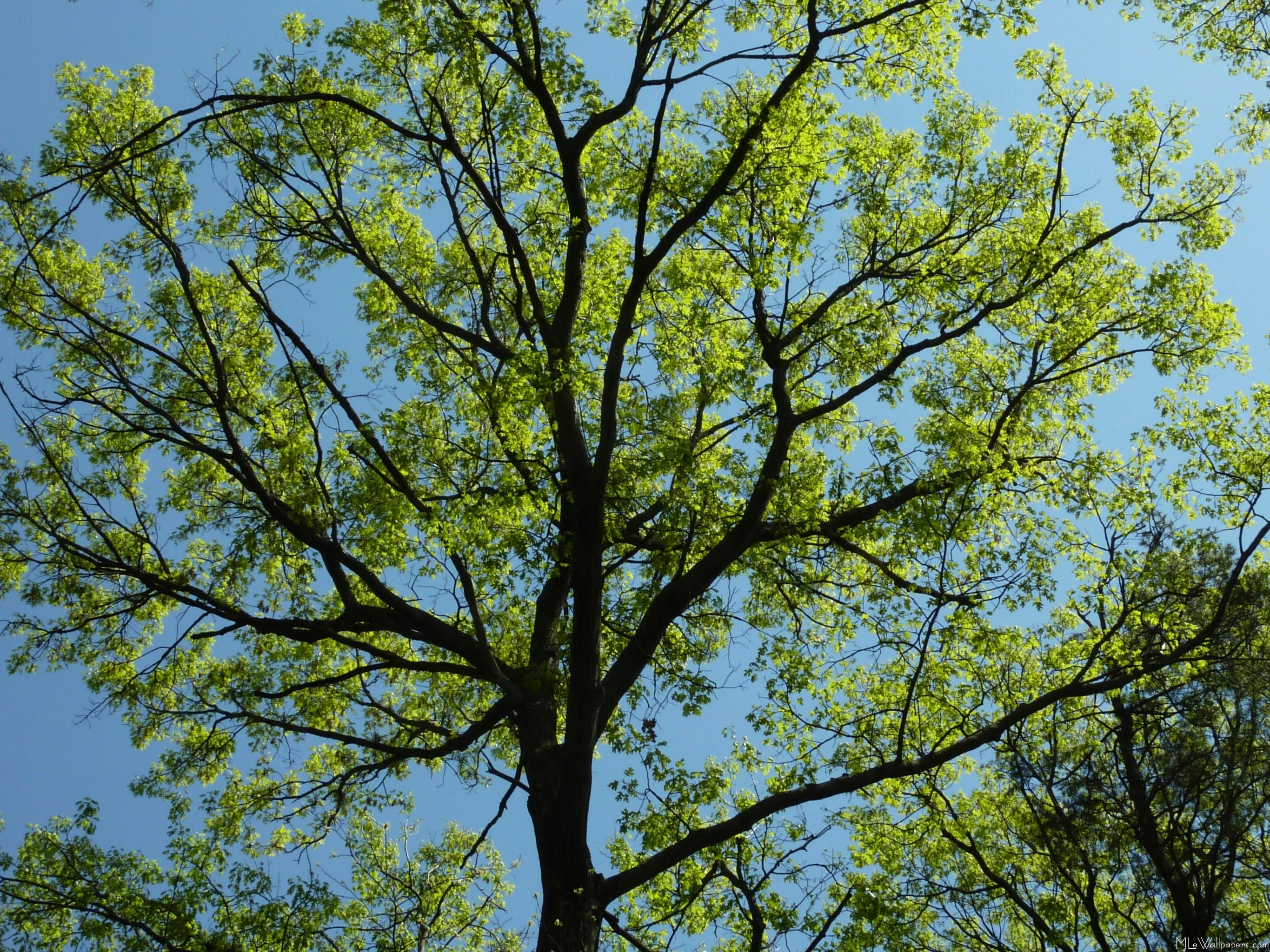 Photo by beautydrips