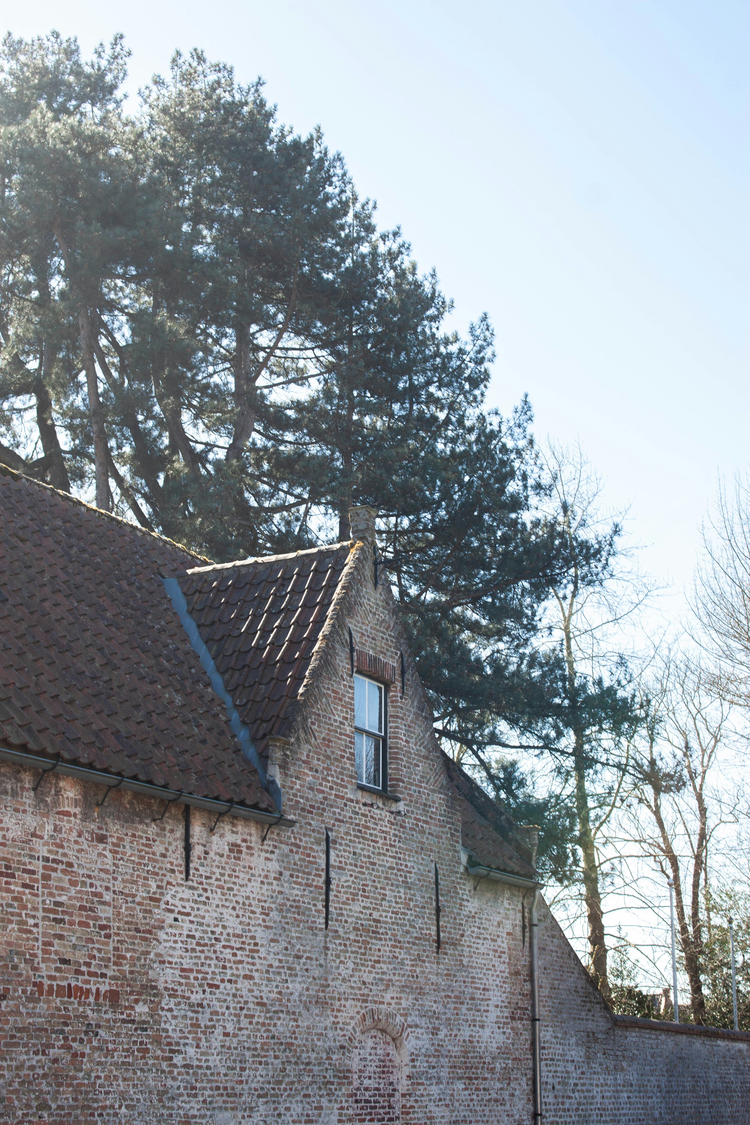 Photo by kamillaisalieva