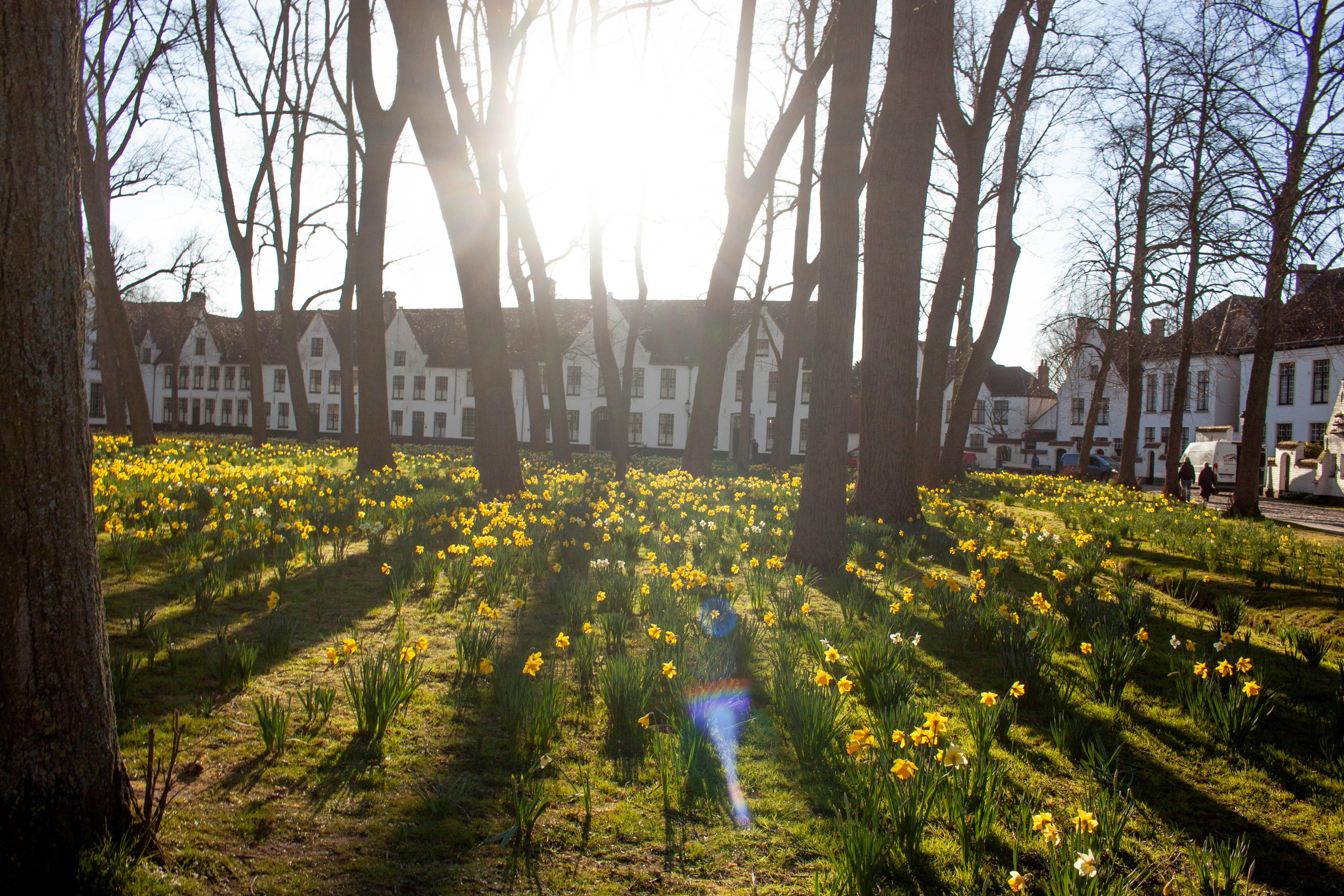 Beyond the Abbey: Bruges' Craft Beer Revolution