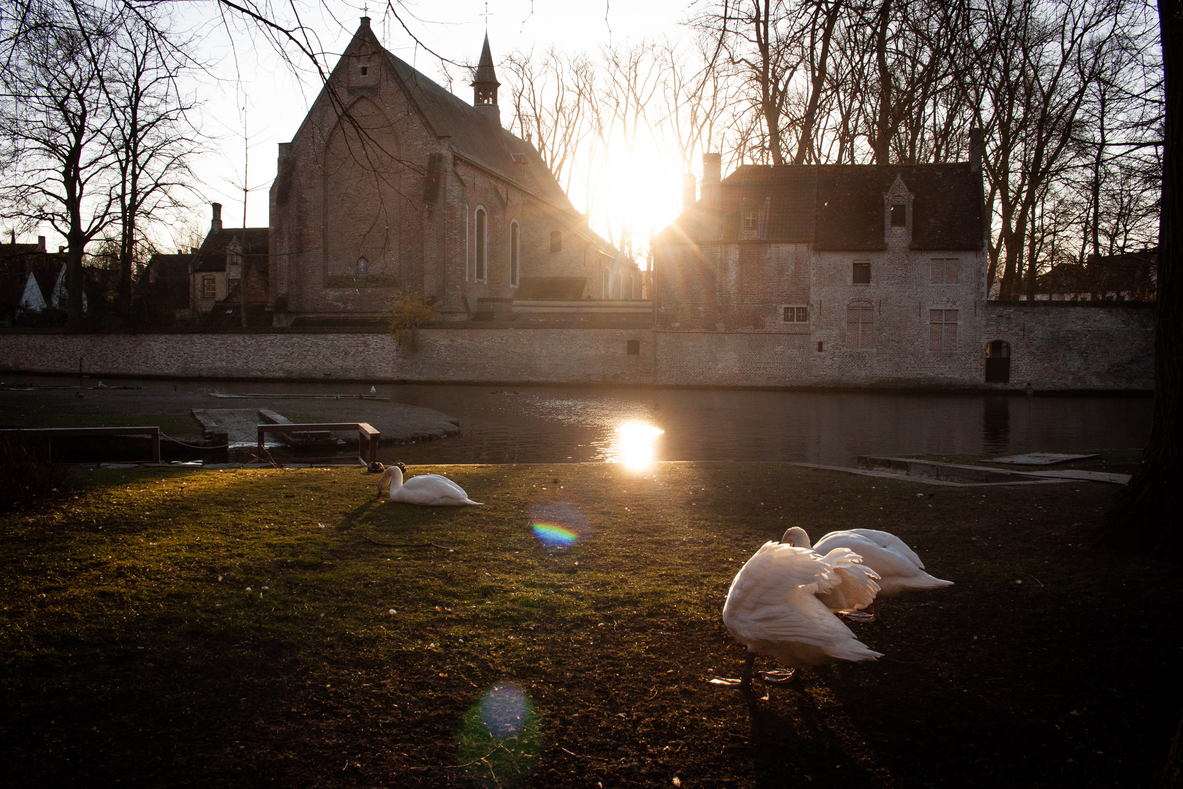 Bruges culture