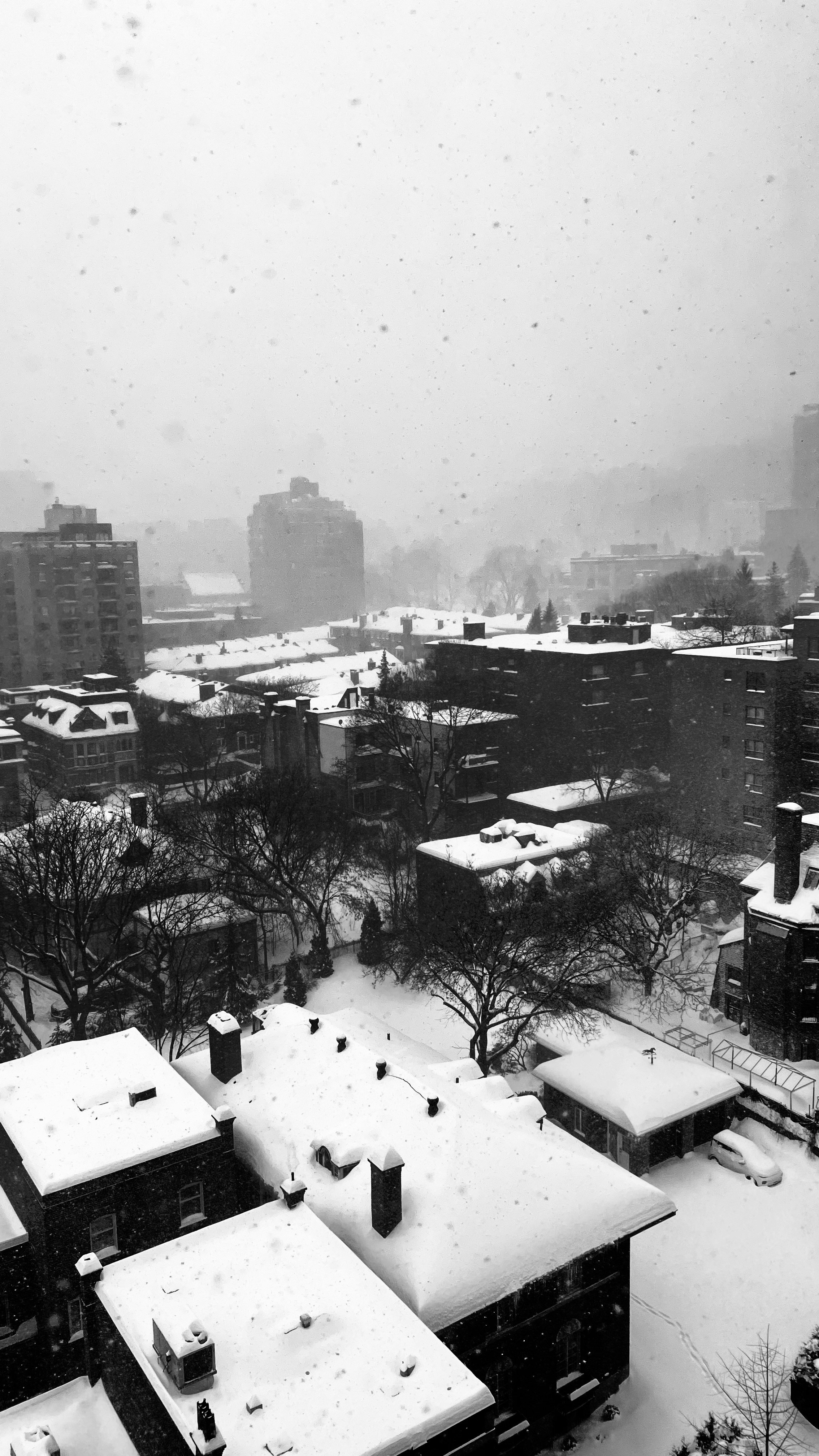 Snow blankets a city landscape.